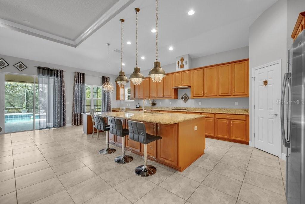 15409 STARLING CROSSING DR, LITHIA, FL, 33547
