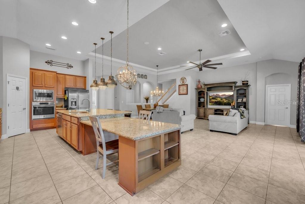 15409 STARLING CROSSING DR, LITHIA, FL, 33547
