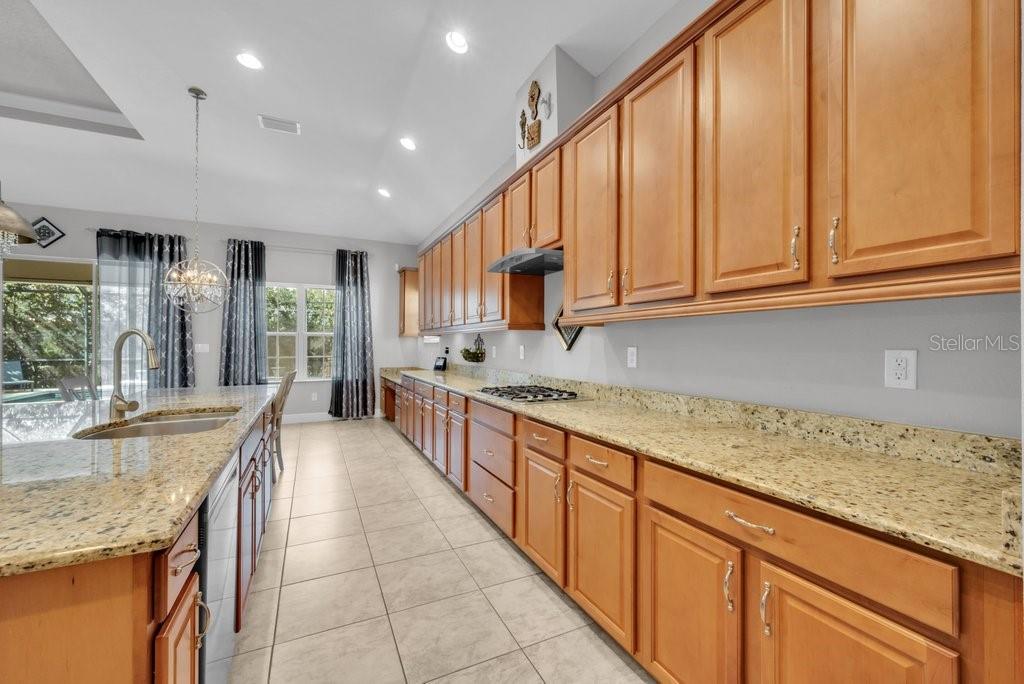 15409 STARLING CROSSING DR, LITHIA, FL, 33547