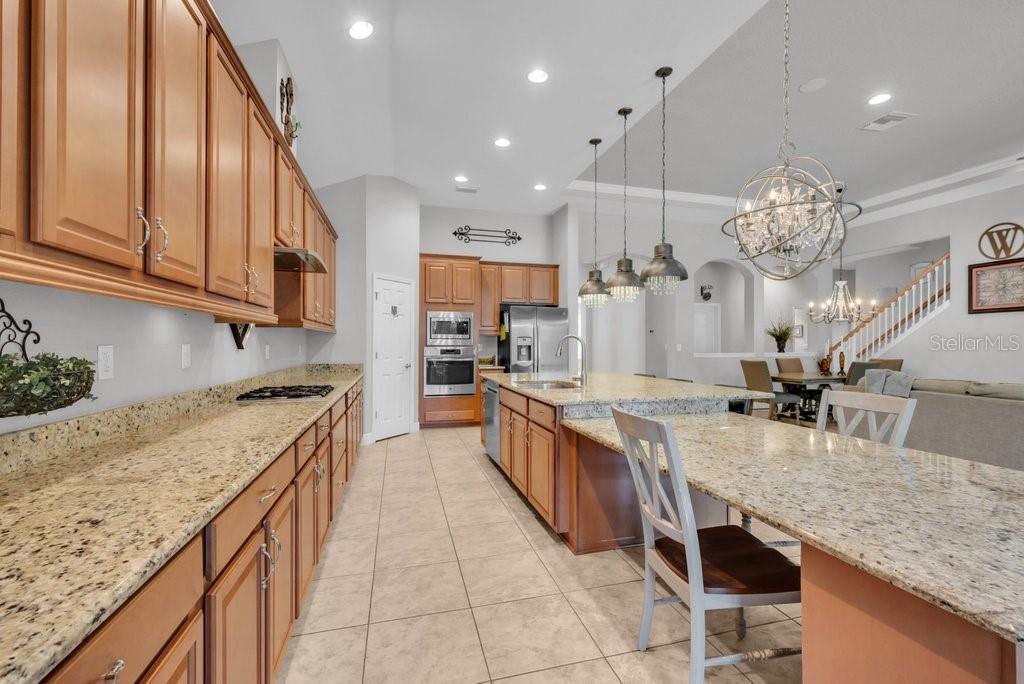 15409 STARLING CROSSING DR, LITHIA, FL, 33547