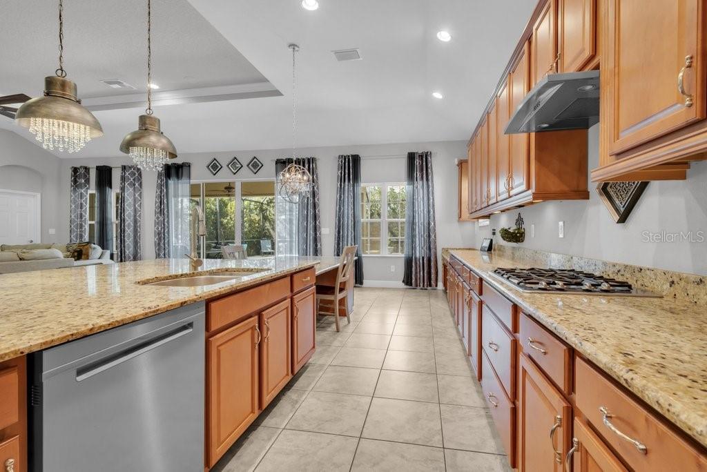 15409 STARLING CROSSING DR, LITHIA, FL, 33547