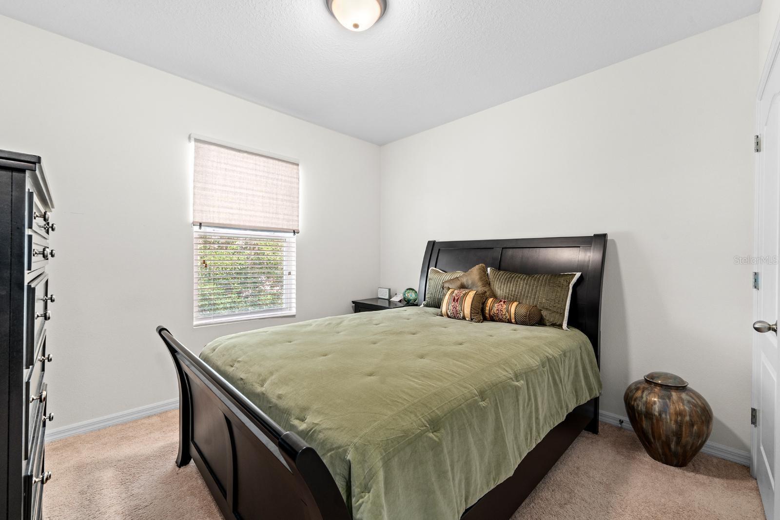 824 ASHENTREE DR, PLANT CITY, FL, 33563