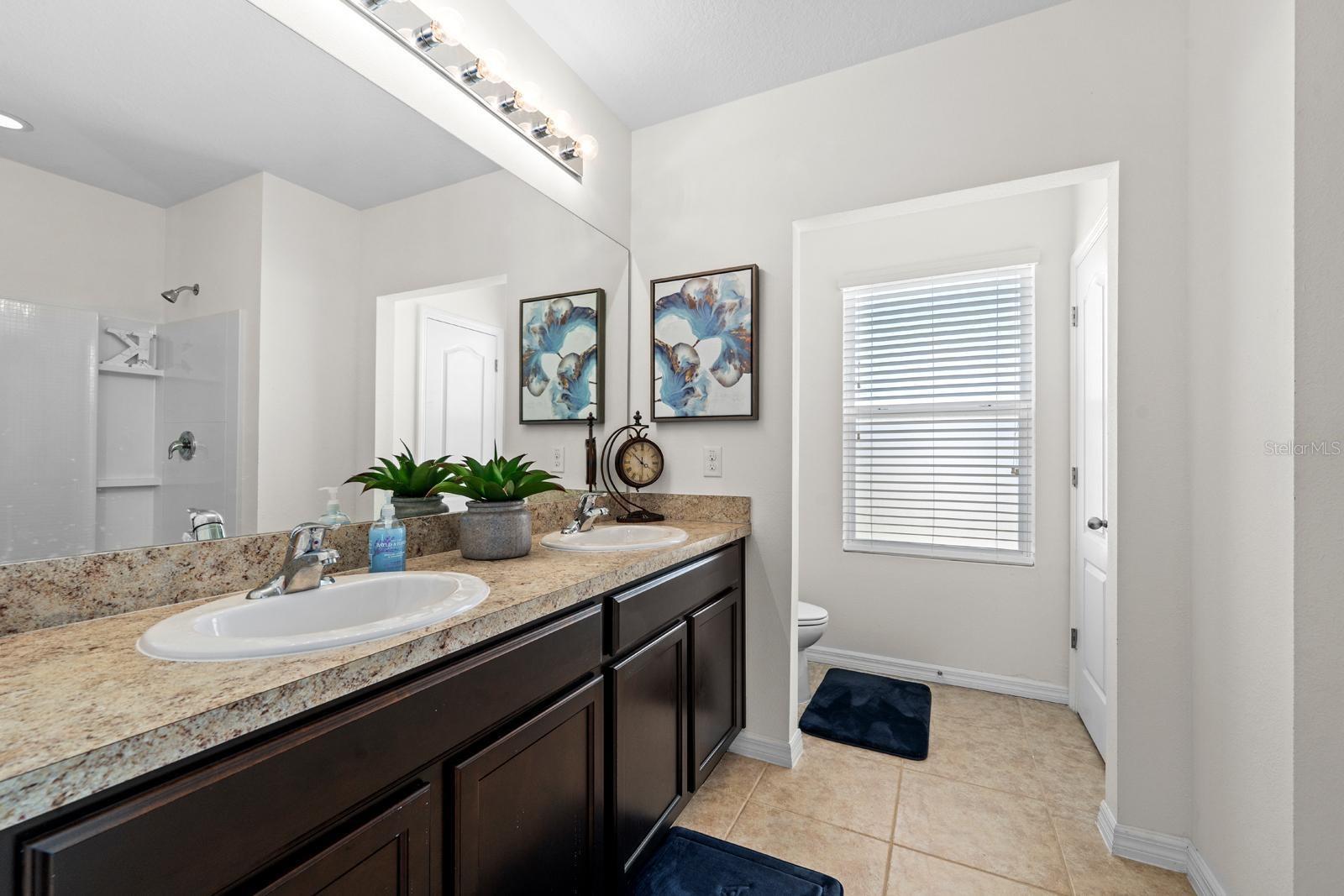 824 ASHENTREE DR, PLANT CITY, FL, 33563