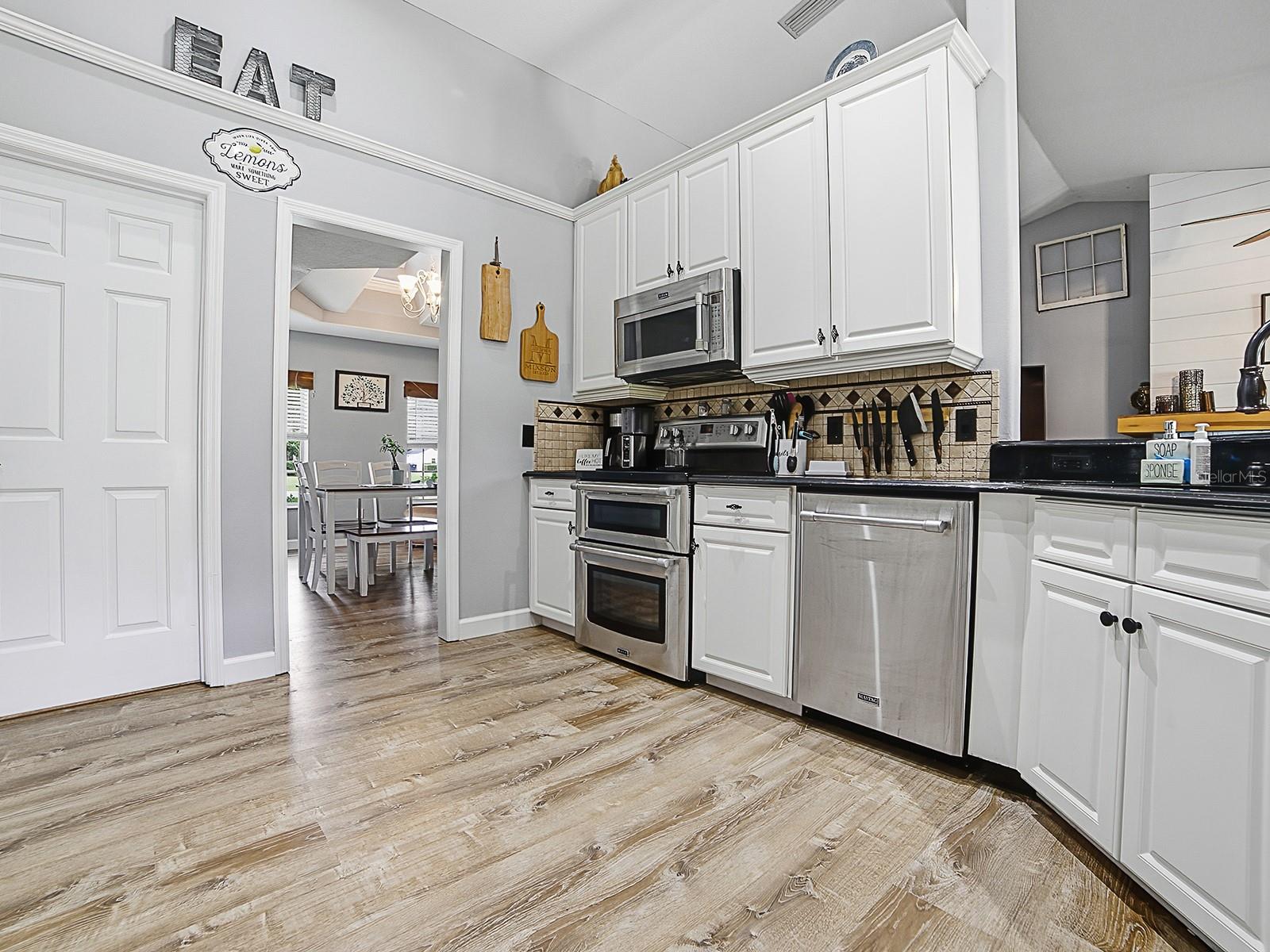 7817 LAUREL VIEW DR, MOUNT DORA, FL, 32757