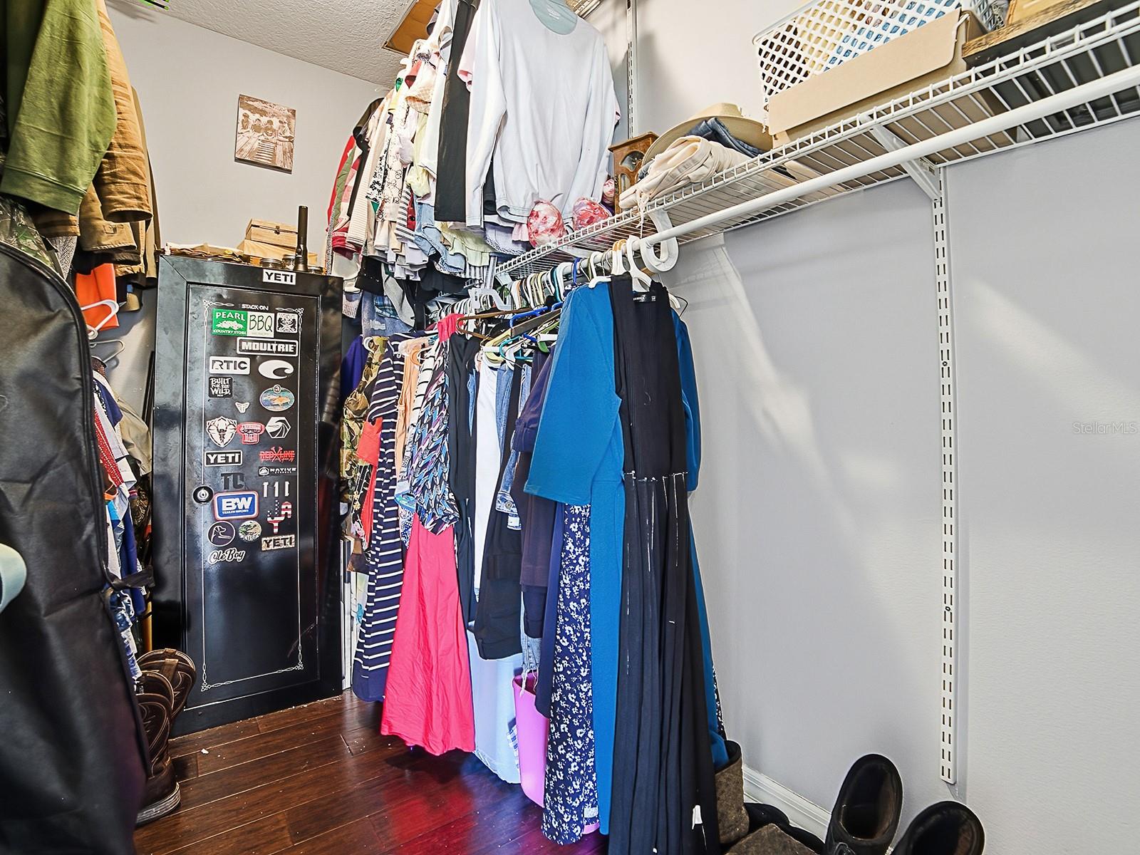 7817 LAUREL VIEW DR, MOUNT DORA, FL, 32757