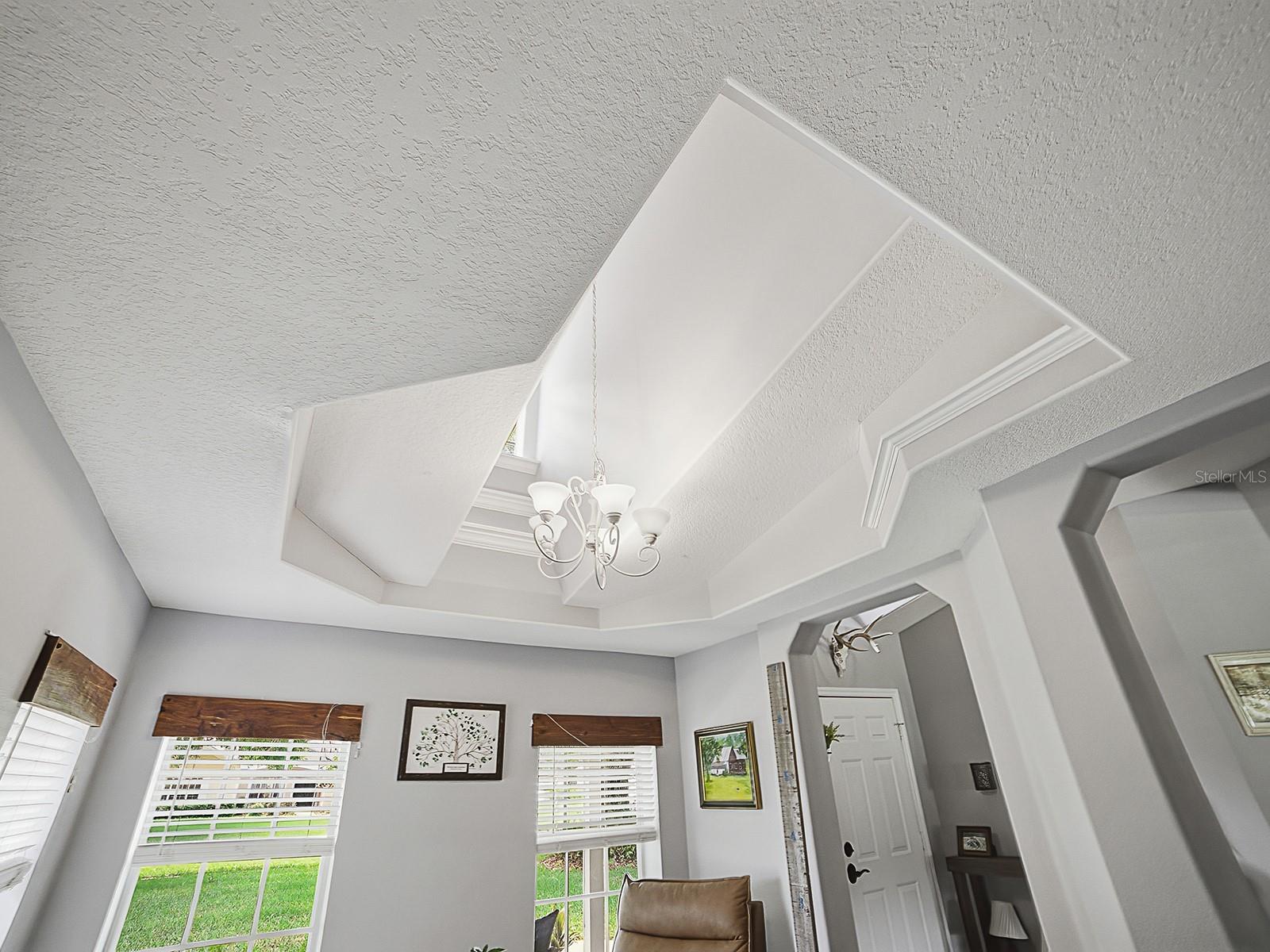 7817 LAUREL VIEW DR, MOUNT DORA, FL, 32757