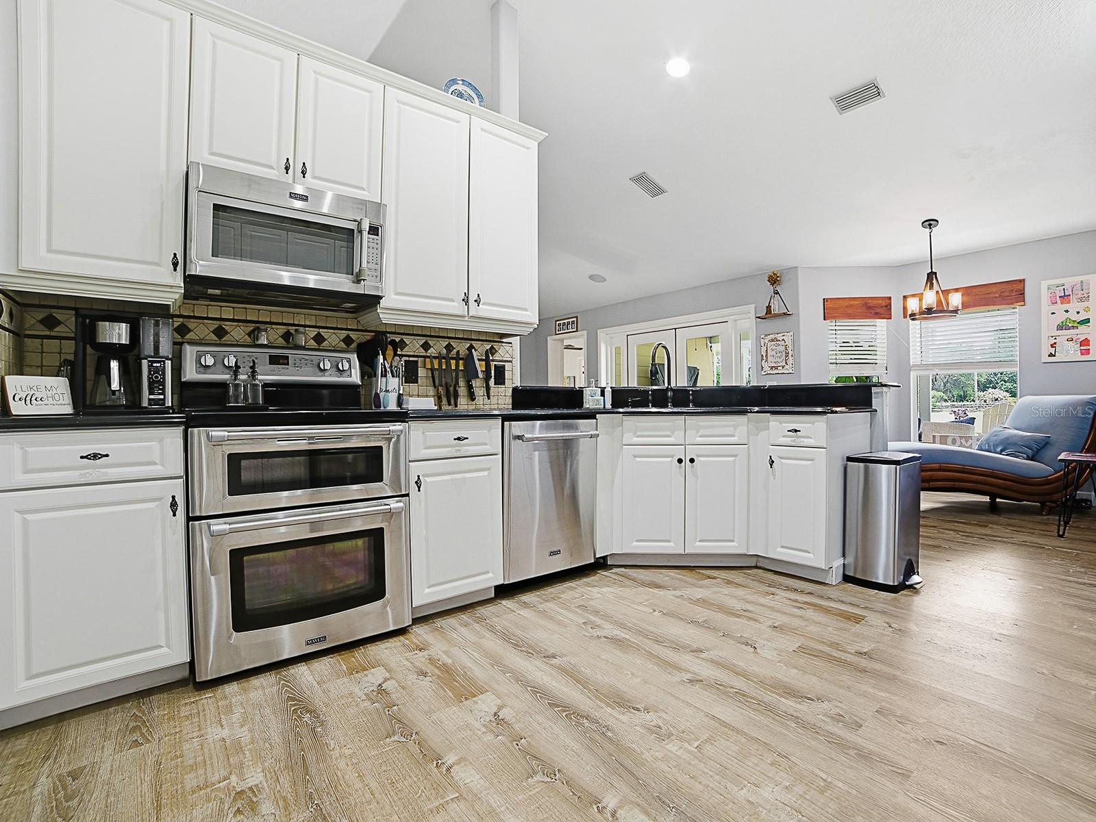 7817 LAUREL VIEW DR, MOUNT DORA, FL, 32757
