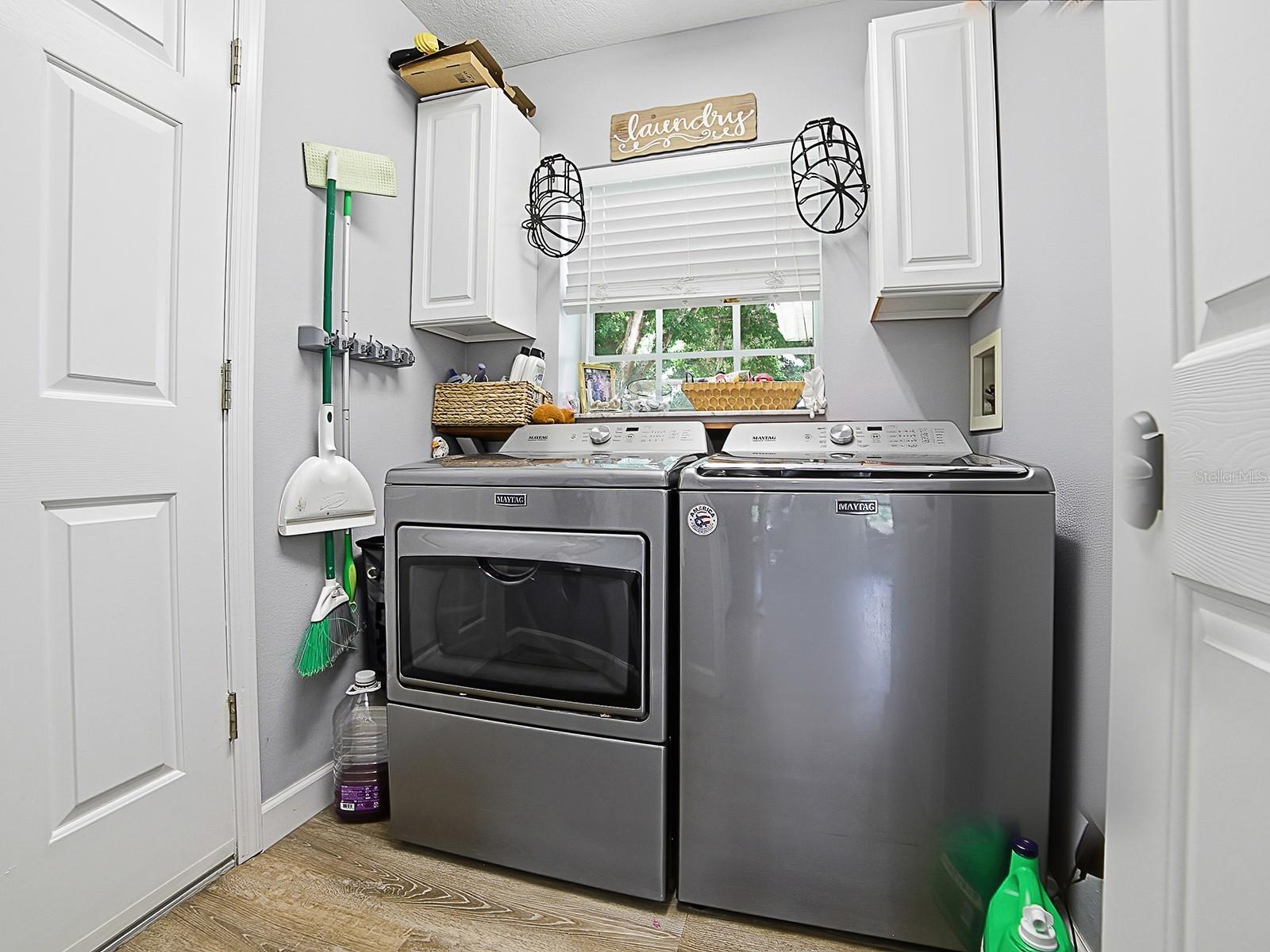 7817 LAUREL VIEW DR, MOUNT DORA, FL, 32757