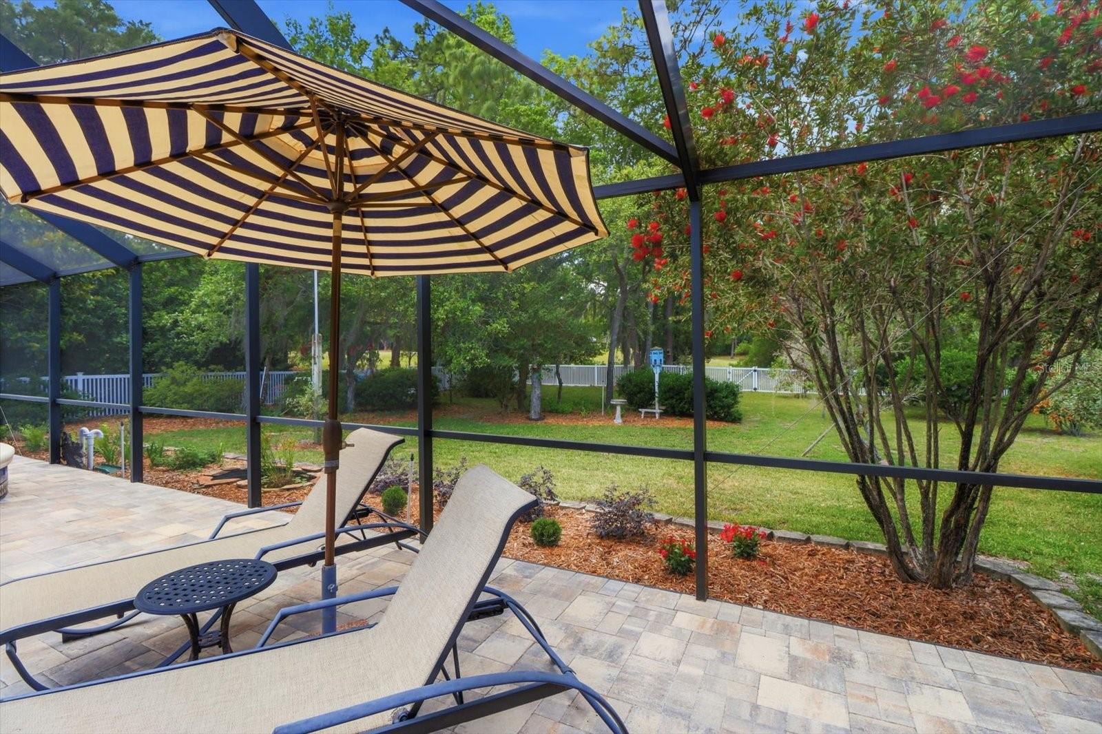 35 DOUGLAS ST, HOMOSASSA, FL, 34446