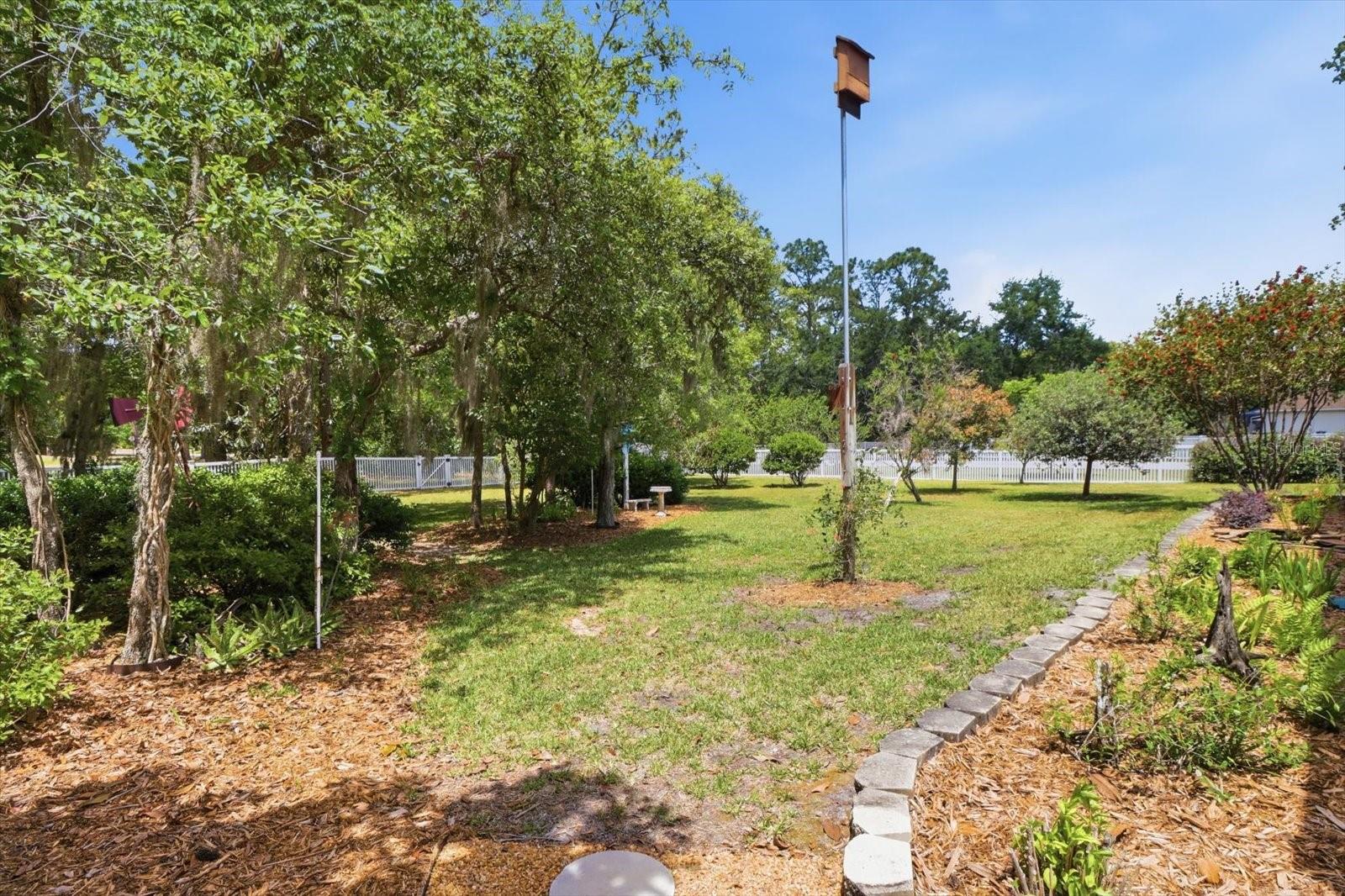 35 DOUGLAS ST, HOMOSASSA, FL, 34446