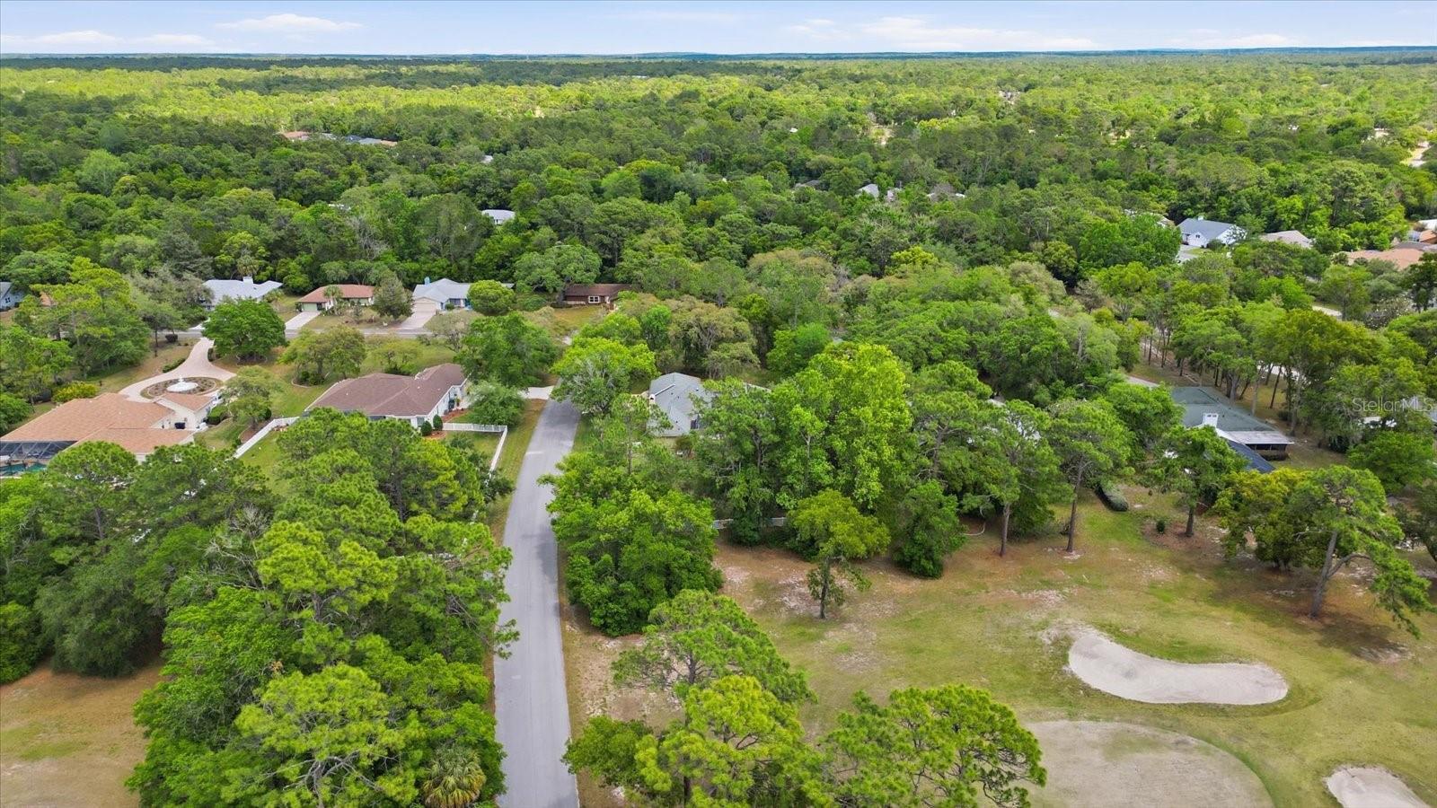 35 DOUGLAS ST, HOMOSASSA, FL, 34446