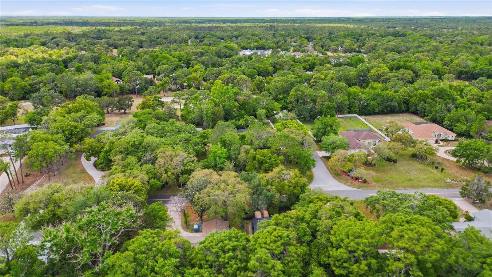 35 DOUGLAS ST, HOMOSASSA, FL, 34446