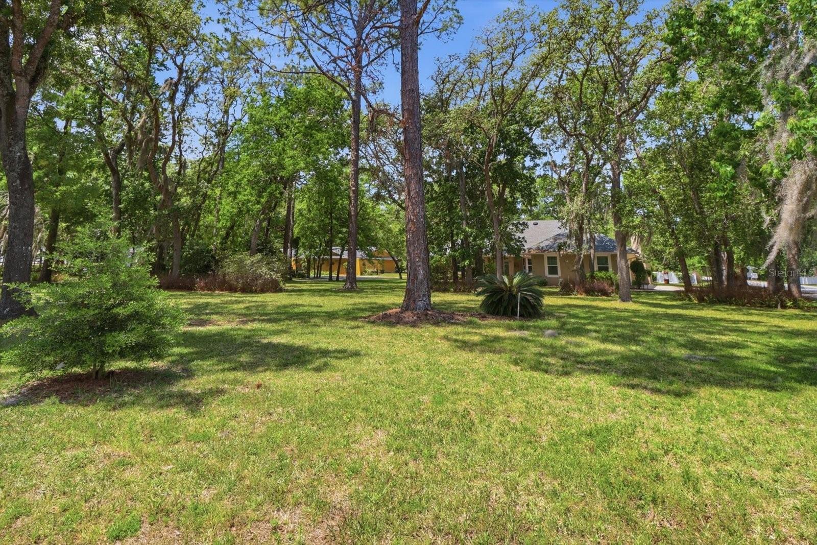 35 DOUGLAS ST, HOMOSASSA, FL, 34446