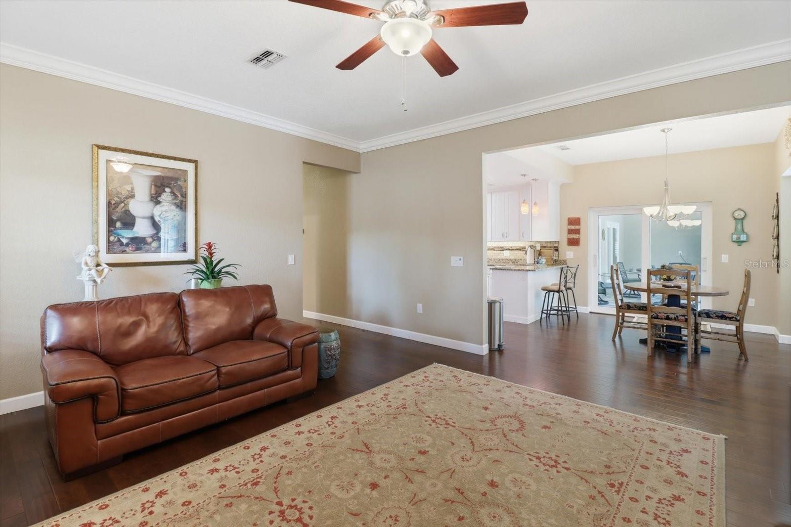 35 DOUGLAS ST, HOMOSASSA, FL, 34446