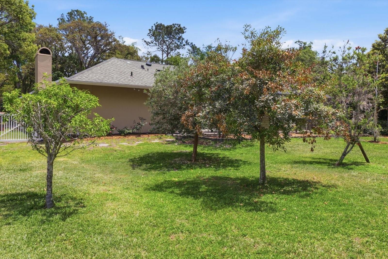 35 DOUGLAS ST, HOMOSASSA, FL, 34446