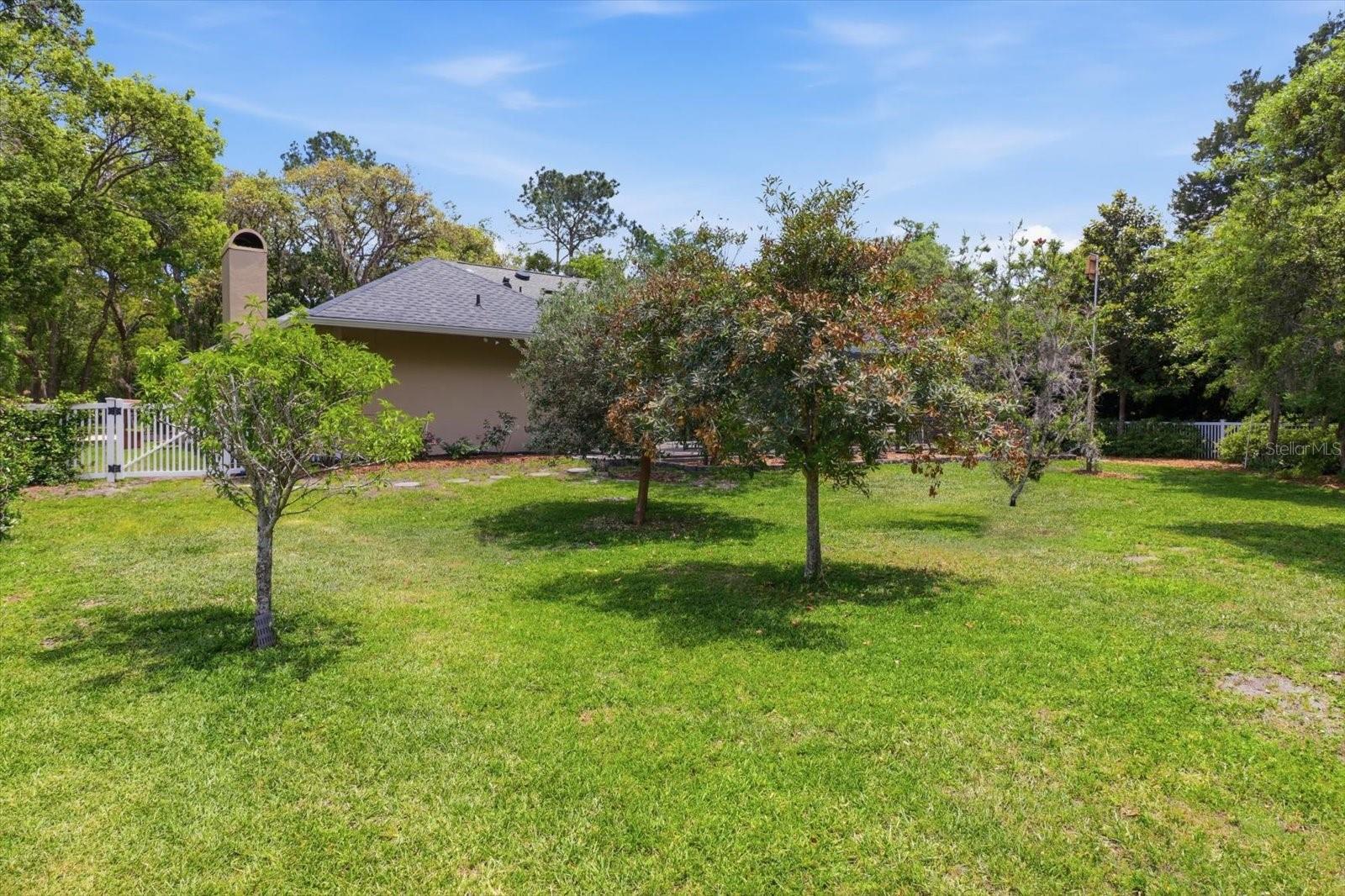 35 DOUGLAS ST, HOMOSASSA, FL, 34446