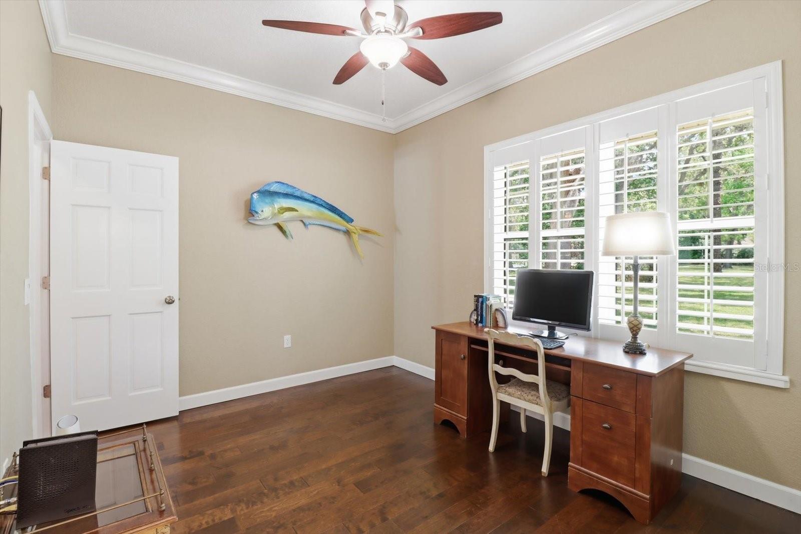 35 DOUGLAS ST, HOMOSASSA, FL, 34446