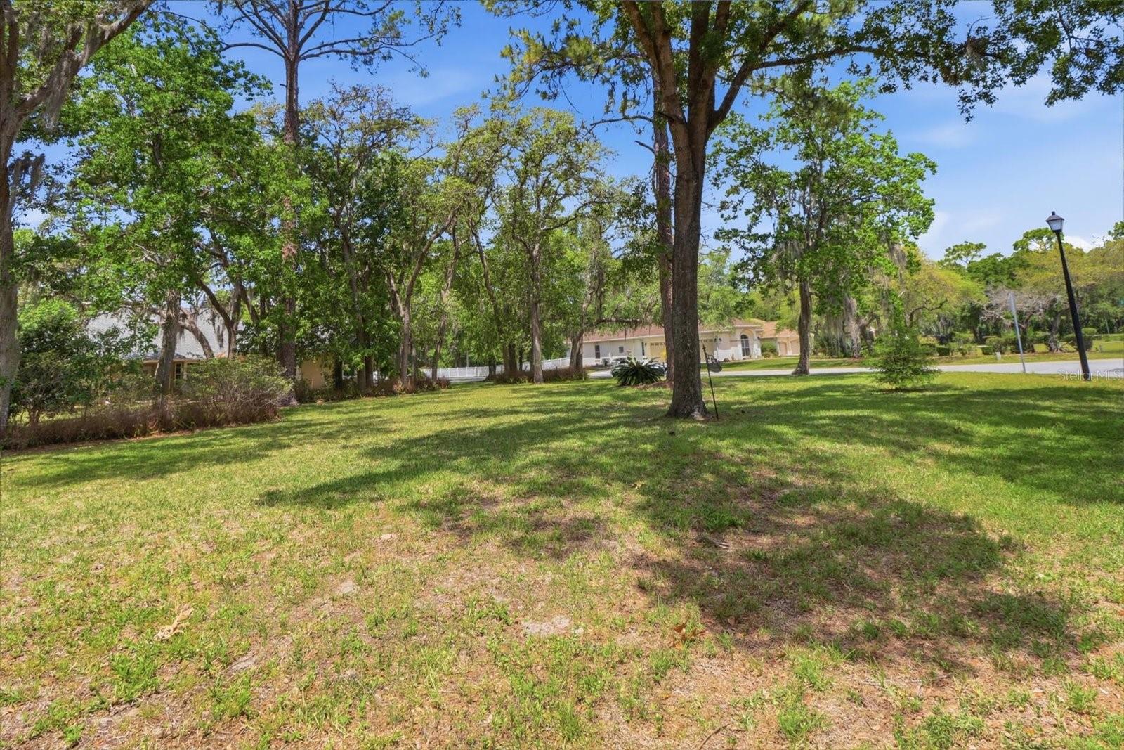 35 DOUGLAS ST, HOMOSASSA, FL, 34446