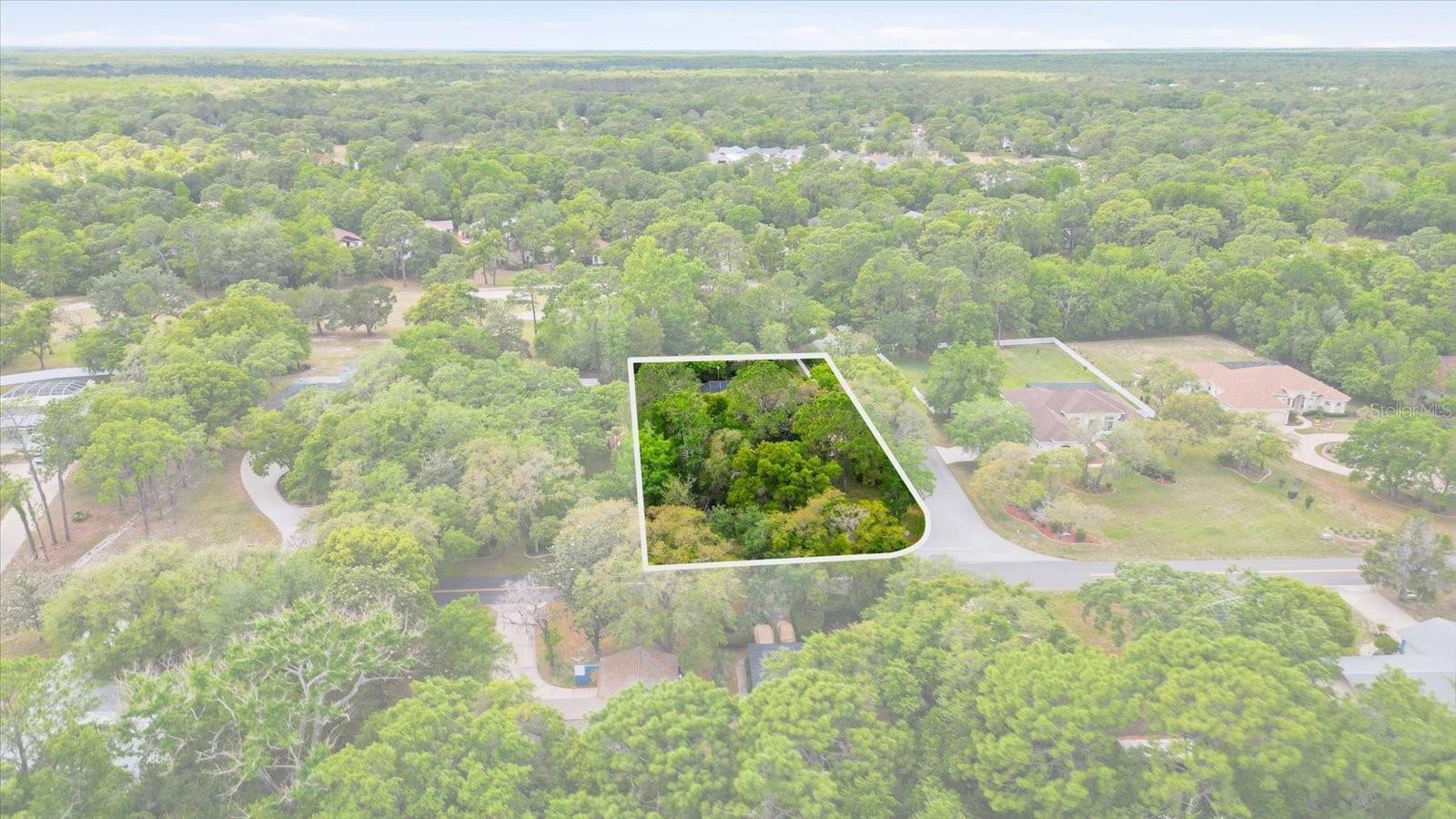 35 DOUGLAS ST, HOMOSASSA, FL, 34446