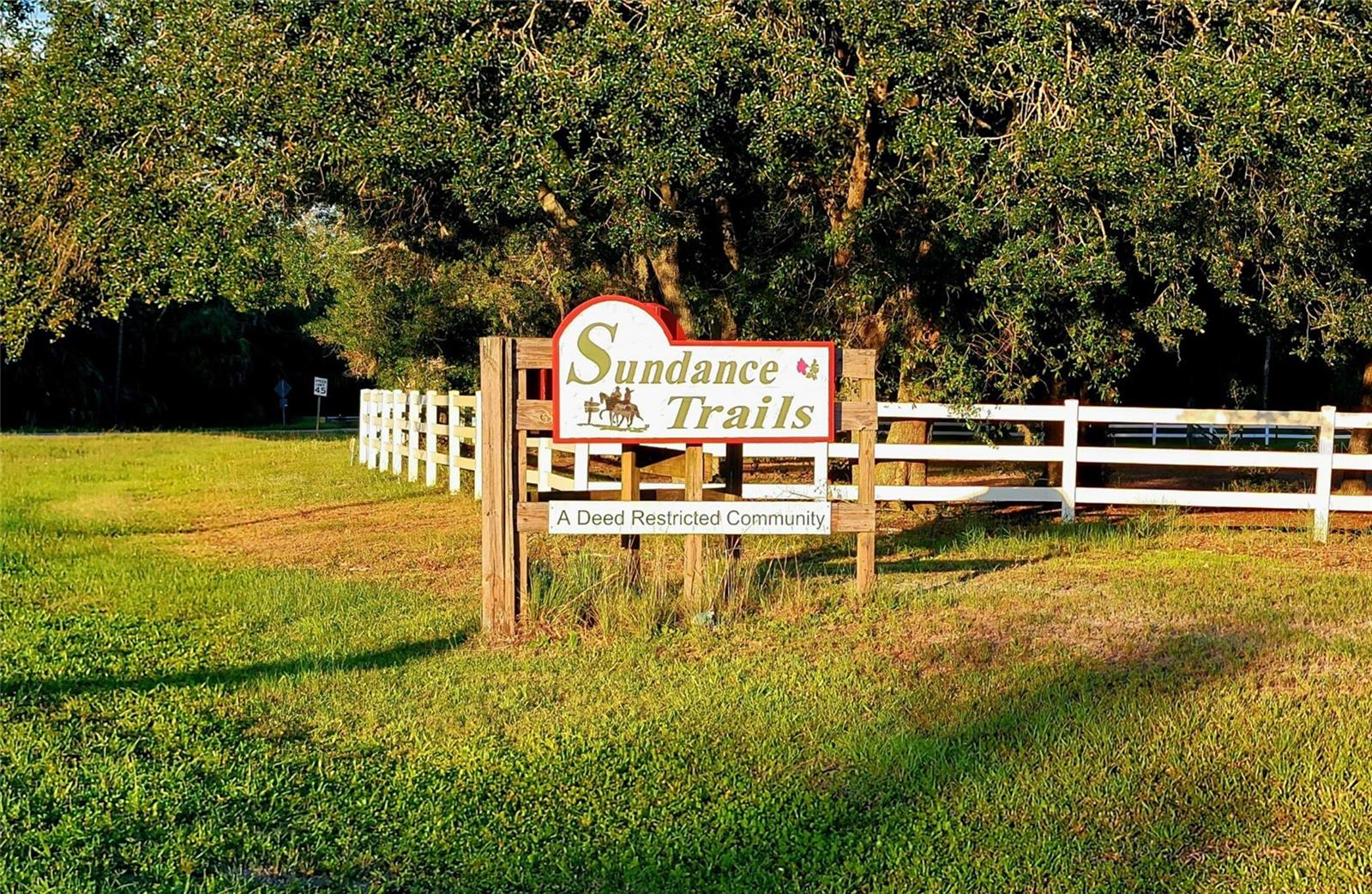 401 INDIAN MEADOW CT, WIMAUMA, FL, 33598