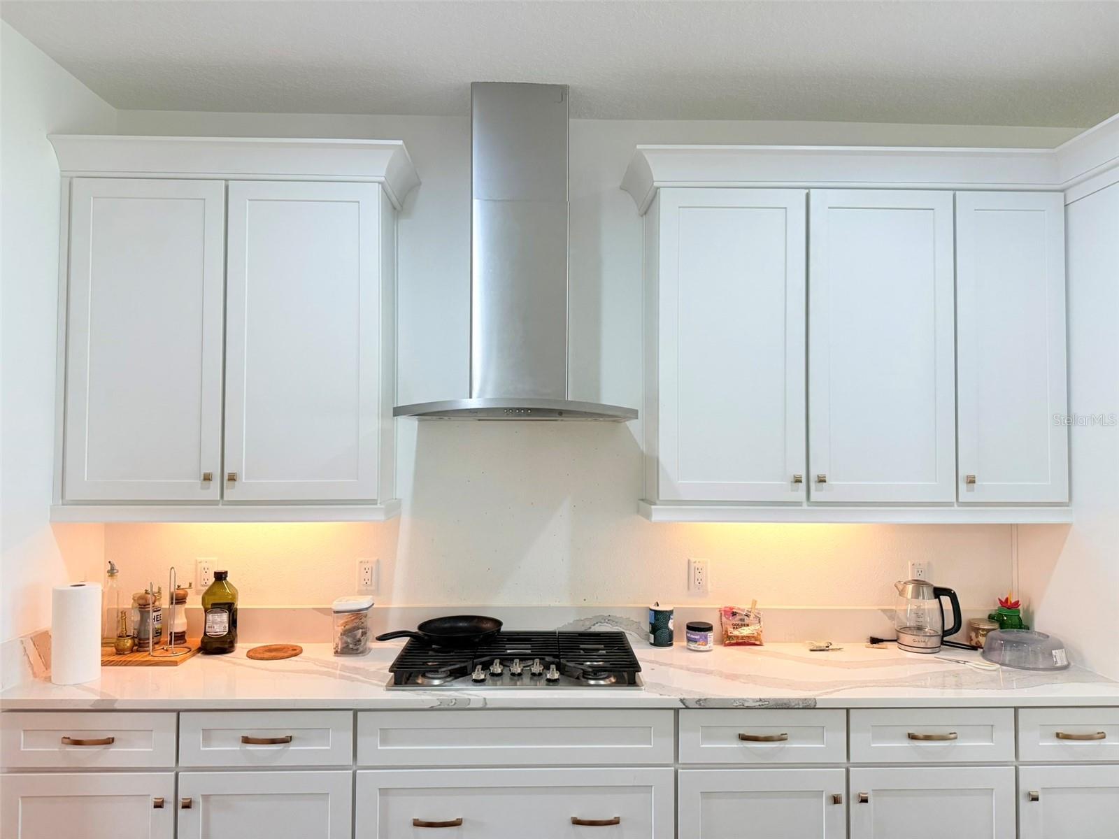 11131 SUNDRIFT DR, TAMPA, FL, 33647