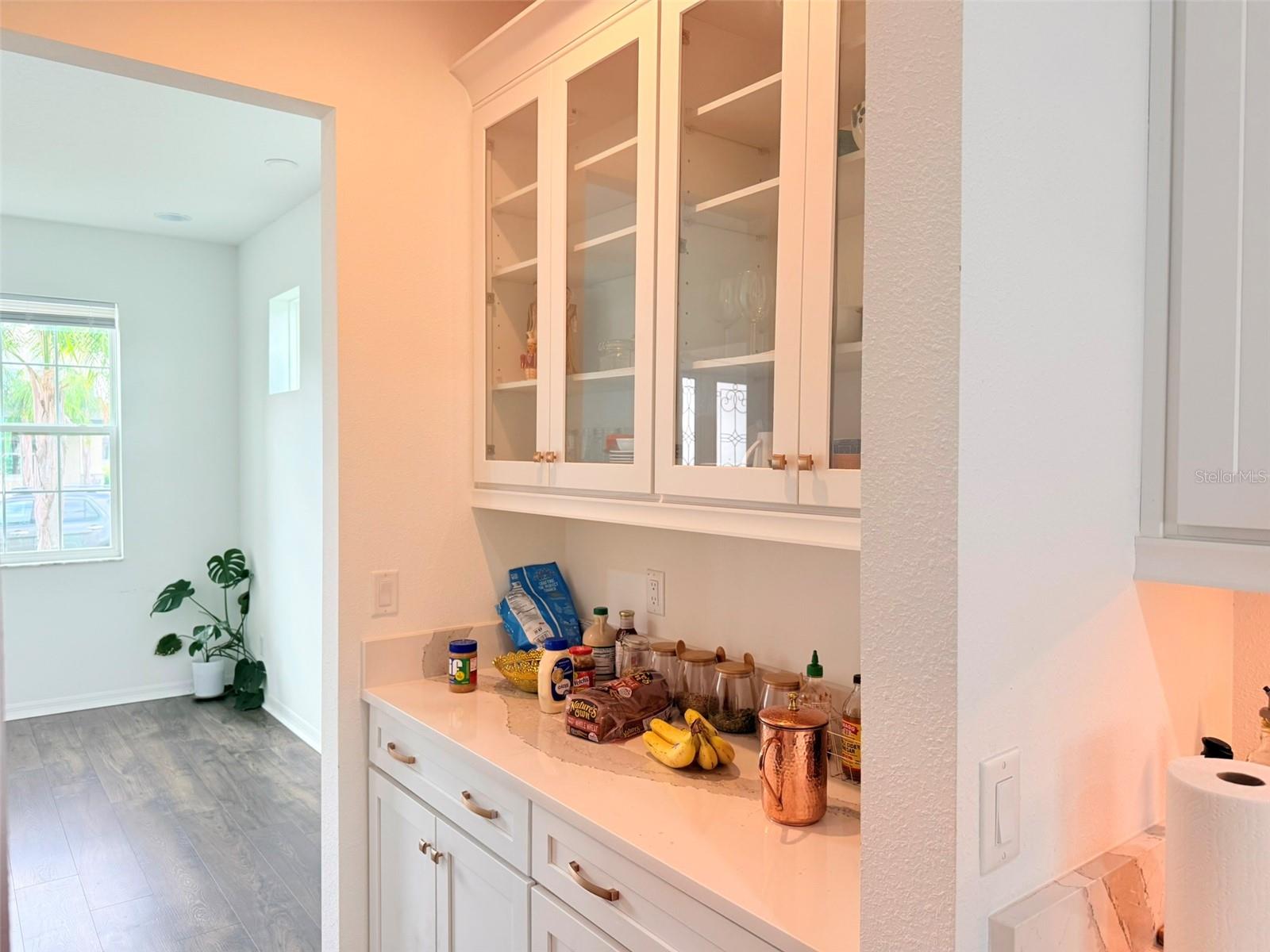 11131 SUNDRIFT DR, TAMPA, FL, 33647