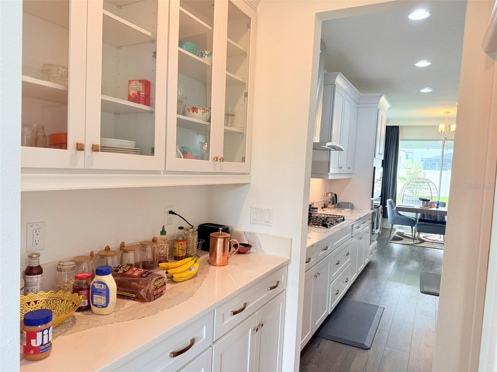 11131 SUNDRIFT DR, TAMPA, FL, 33647