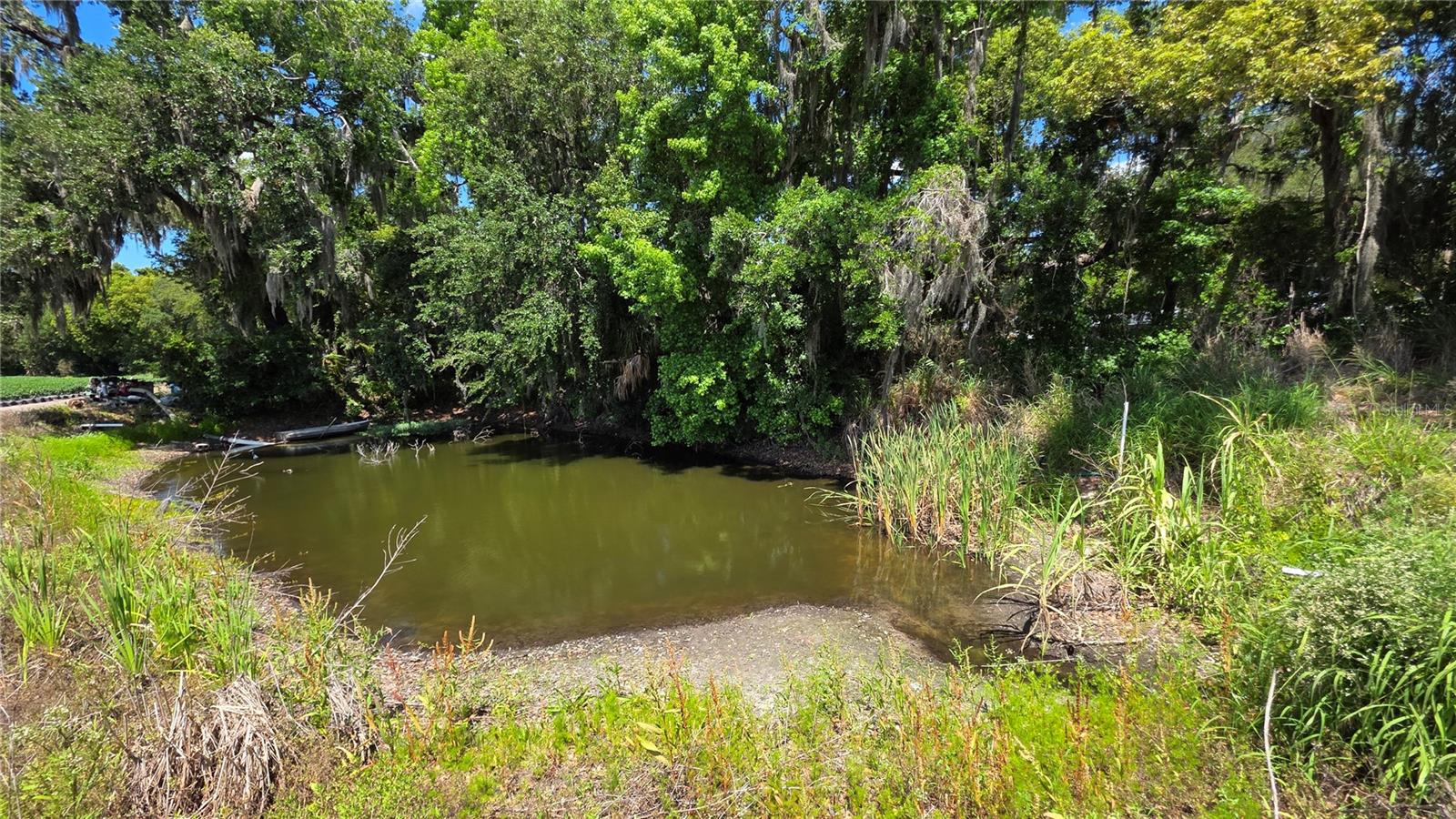 GALLAGHER RD, DOVER, FL, 33527