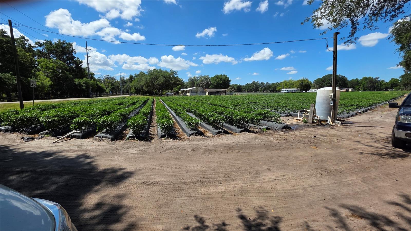 GALLAGHER RD, DOVER, FL, 33527