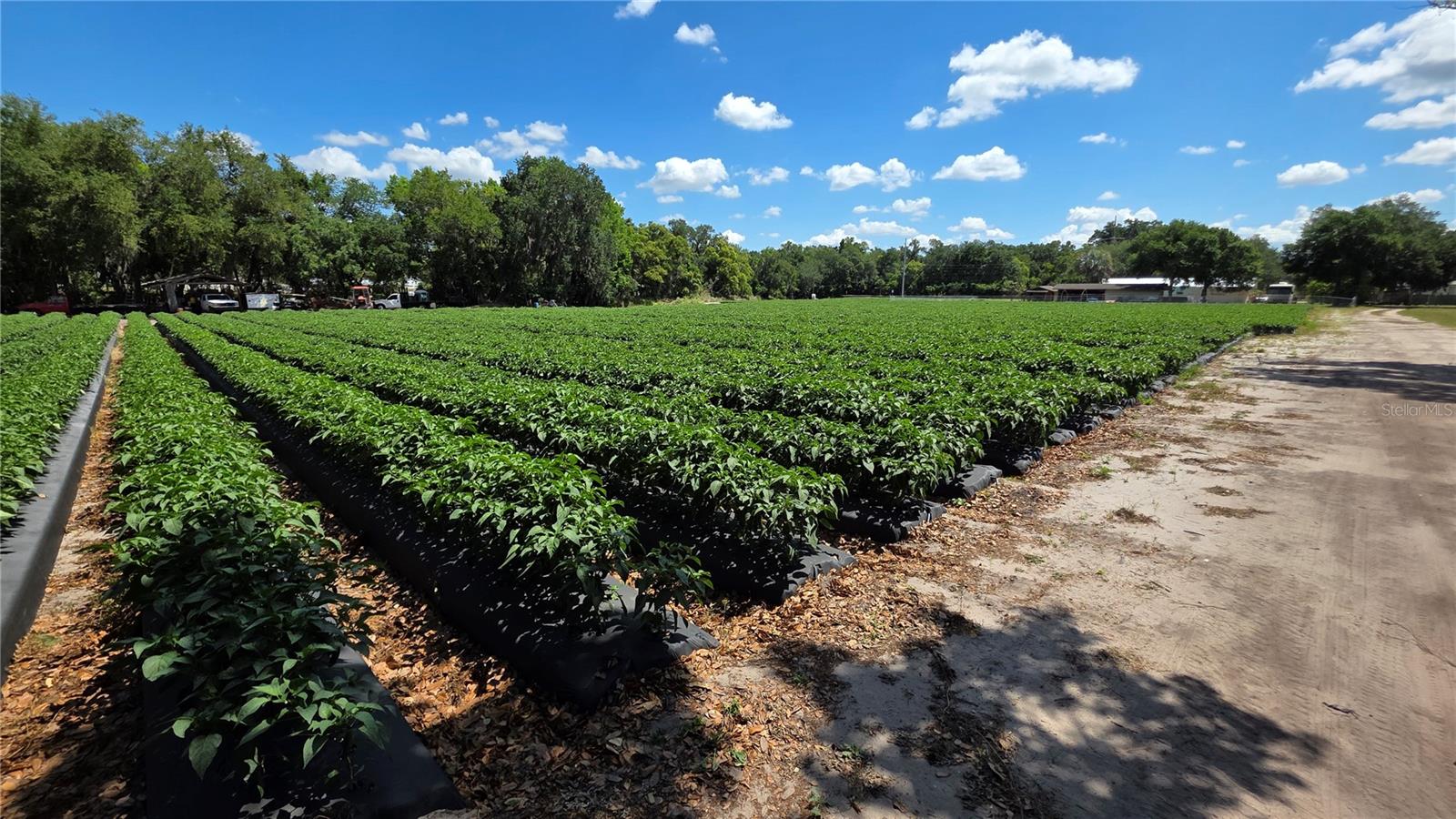 GALLAGHER RD, DOVER, FL, 33527