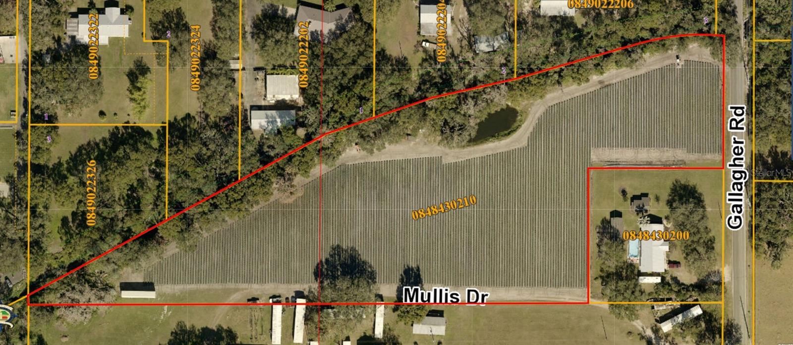 GALLAGHER RD, DOVER, FL, 33527