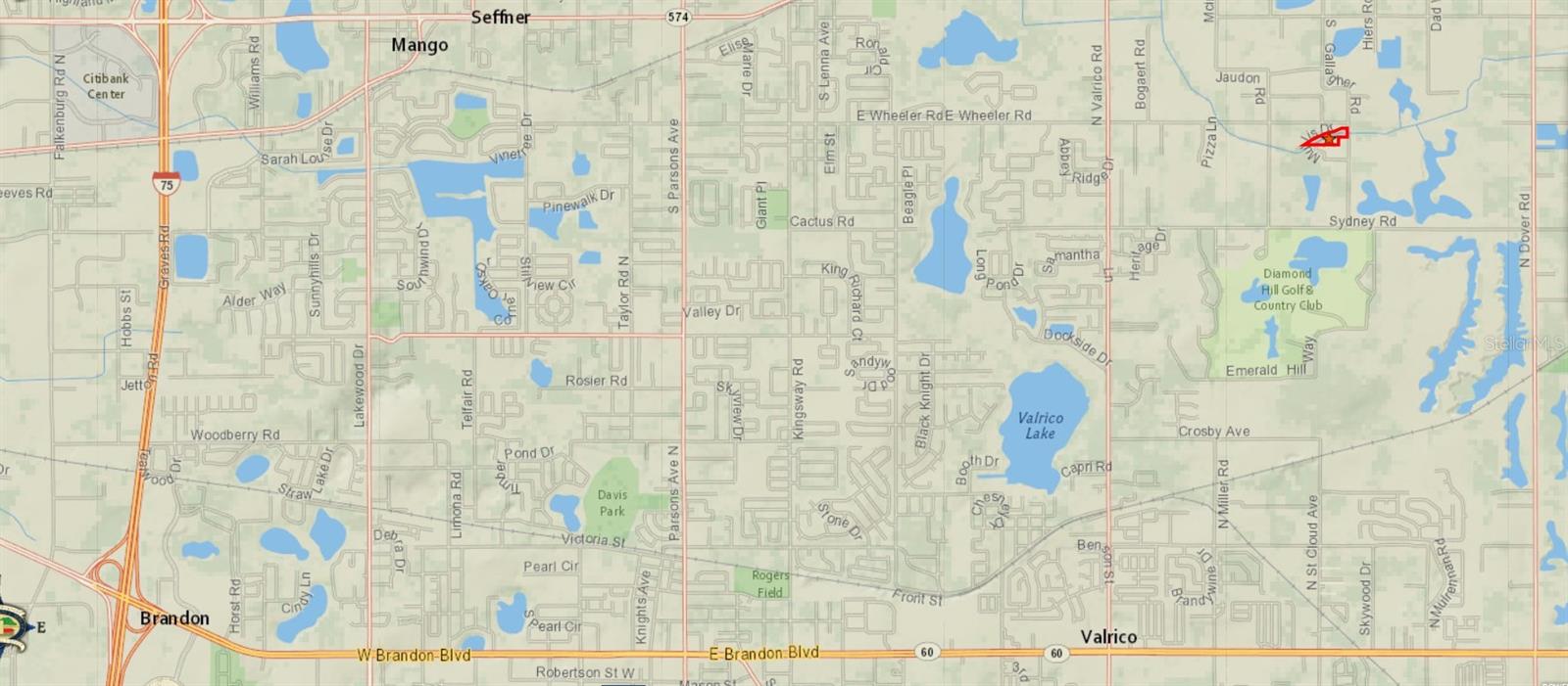 GALLAGHER RD, DOVER, FL, 33527