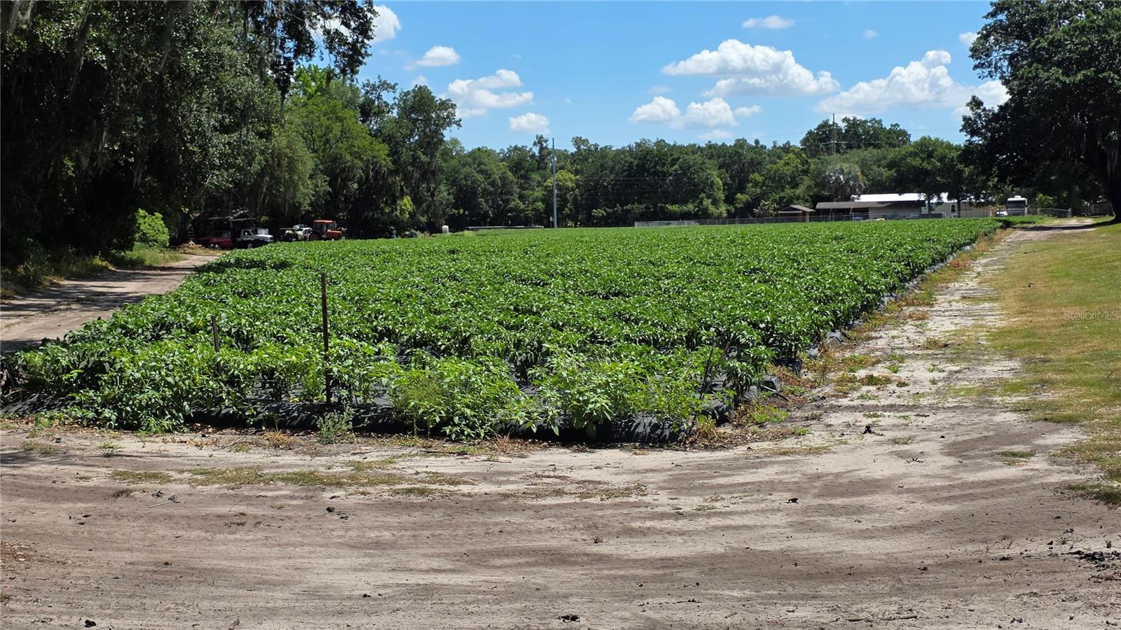 GALLAGHER RD, DOVER, FL, 33527