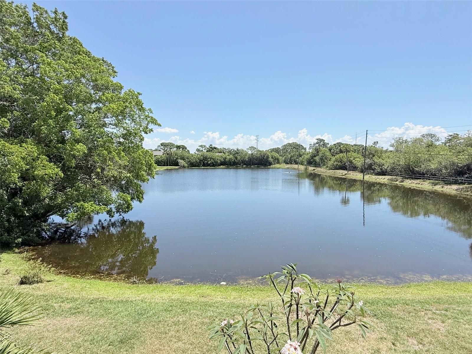 11409 8TH ST N #1506, ST PETERSBURG, FL, 33716