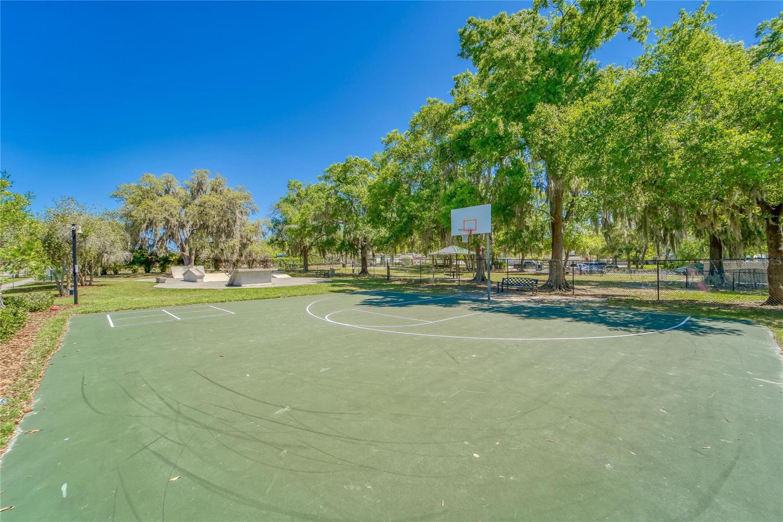 11321 SCRIBNER STATION LN, LITHIA, FL, 33547