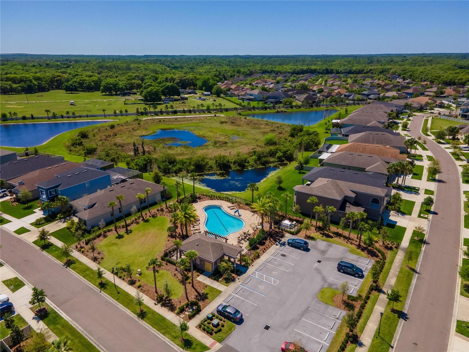 11321 SCRIBNER STATION LN, LITHIA, FL, 33547