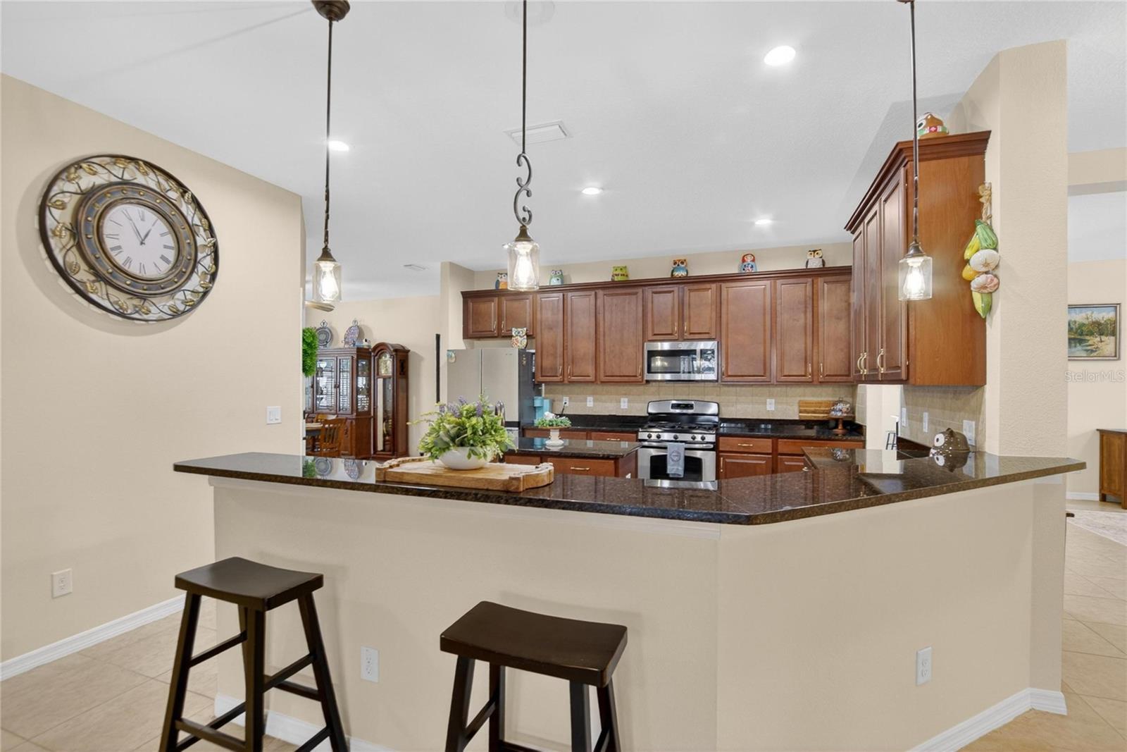 11321 SCRIBNER STATION LN, LITHIA, FL, 33547