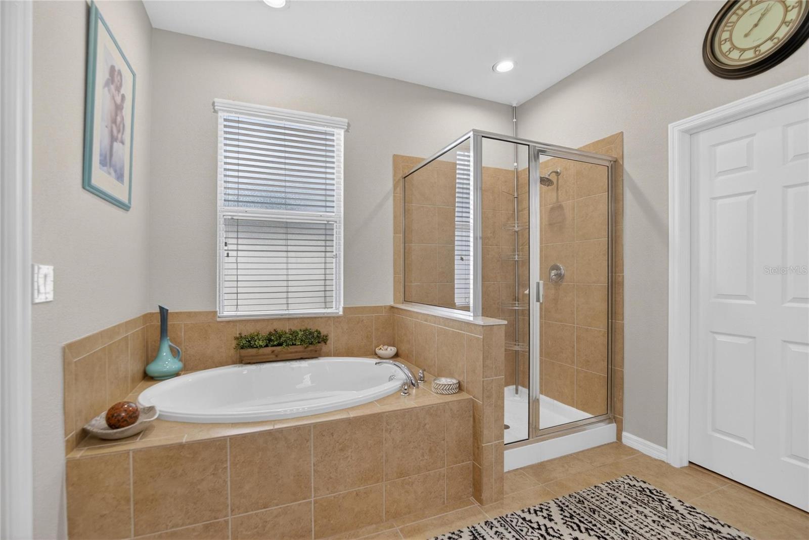 11321 SCRIBNER STATION LN, LITHIA, FL, 33547