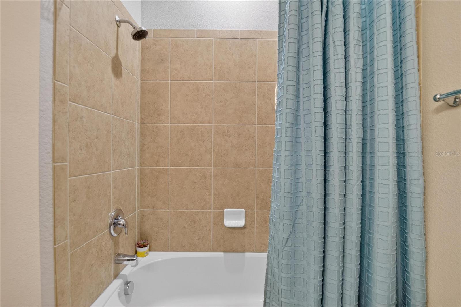 11321 SCRIBNER STATION LN, LITHIA, FL, 33547