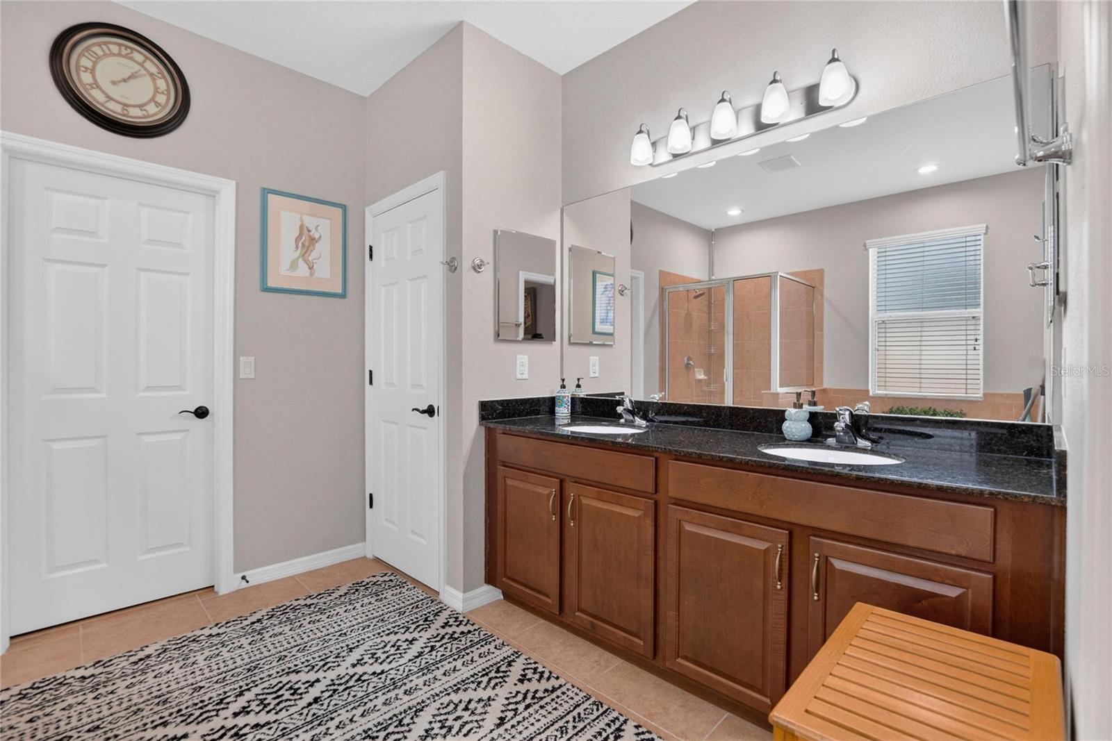 11321 SCRIBNER STATION LN, LITHIA, FL, 33547