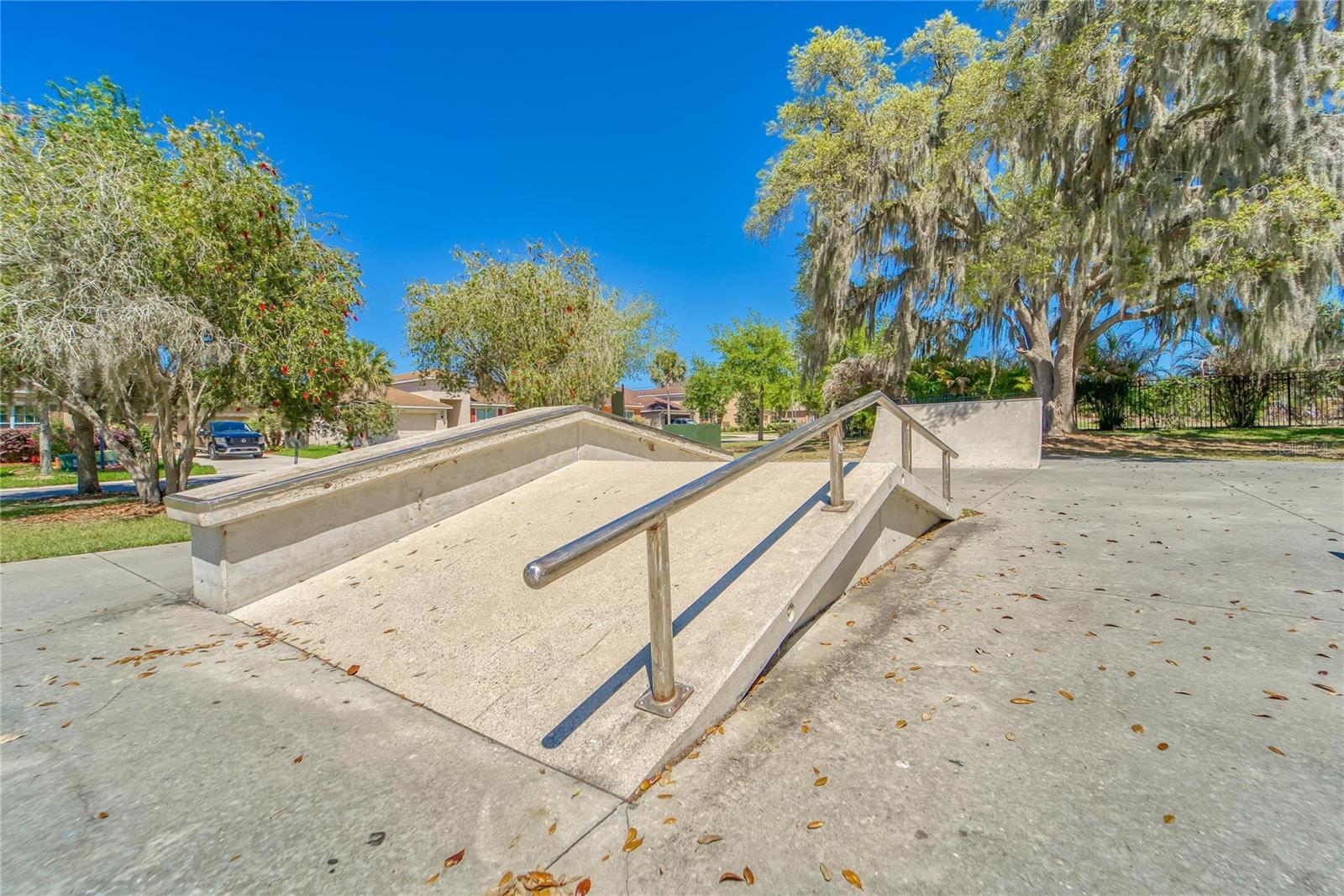 11321 SCRIBNER STATION LN, LITHIA, FL, 33547