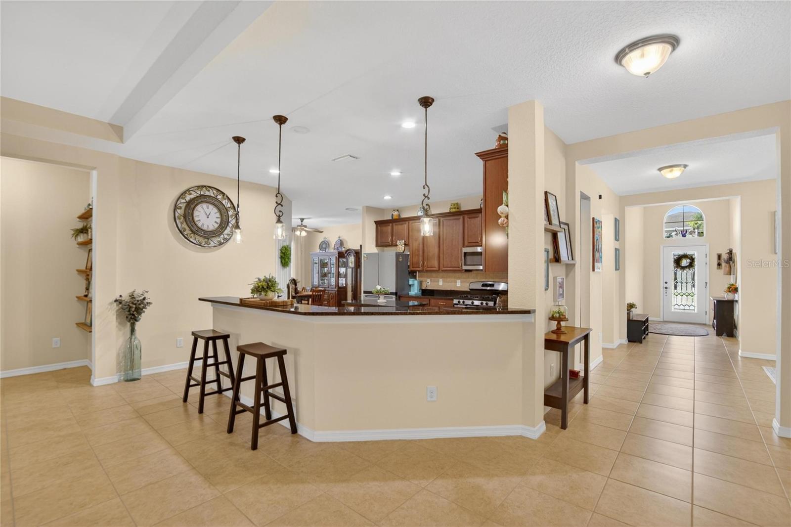 11321 SCRIBNER STATION LN, LITHIA, FL, 33547