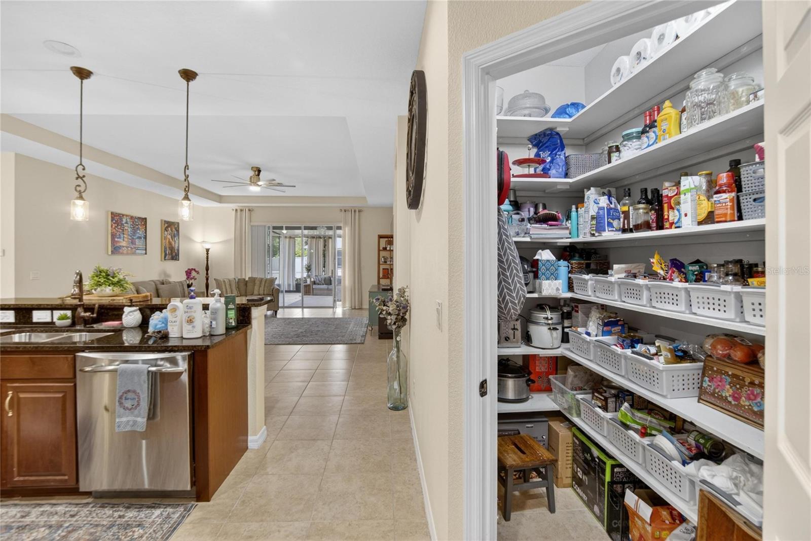 11321 SCRIBNER STATION LN, LITHIA, FL, 33547