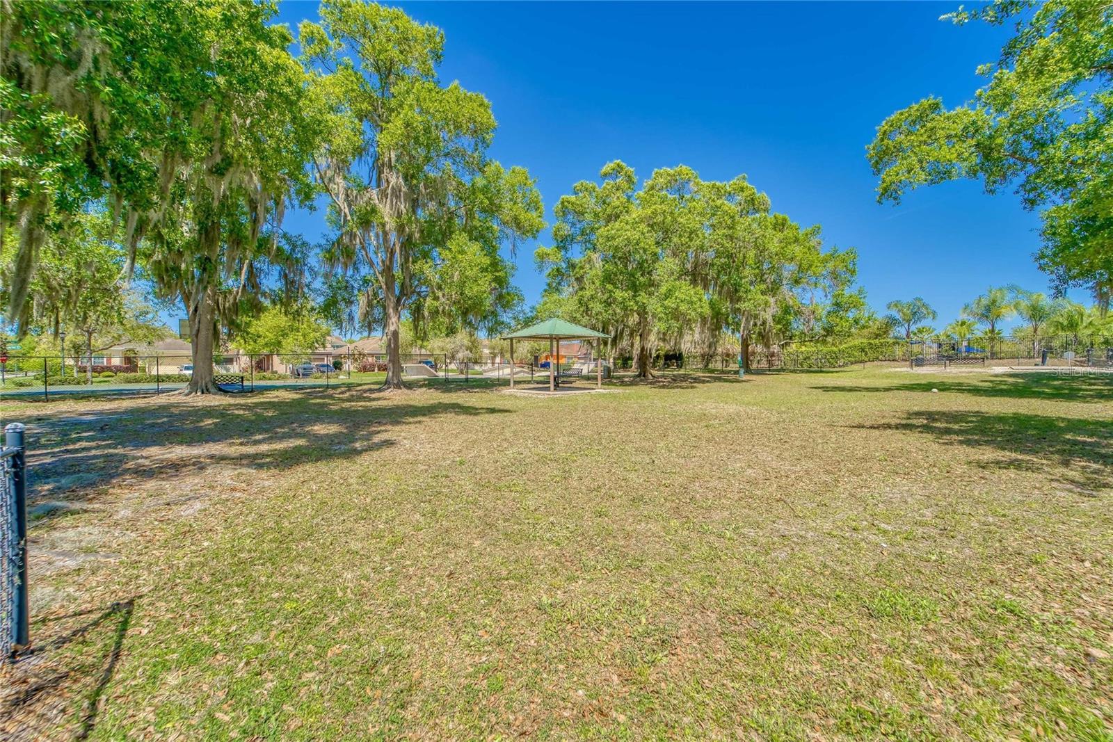 11321 SCRIBNER STATION LN, LITHIA, FL, 33547