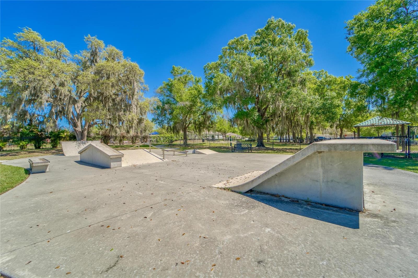 11321 SCRIBNER STATION LN, LITHIA, FL, 33547