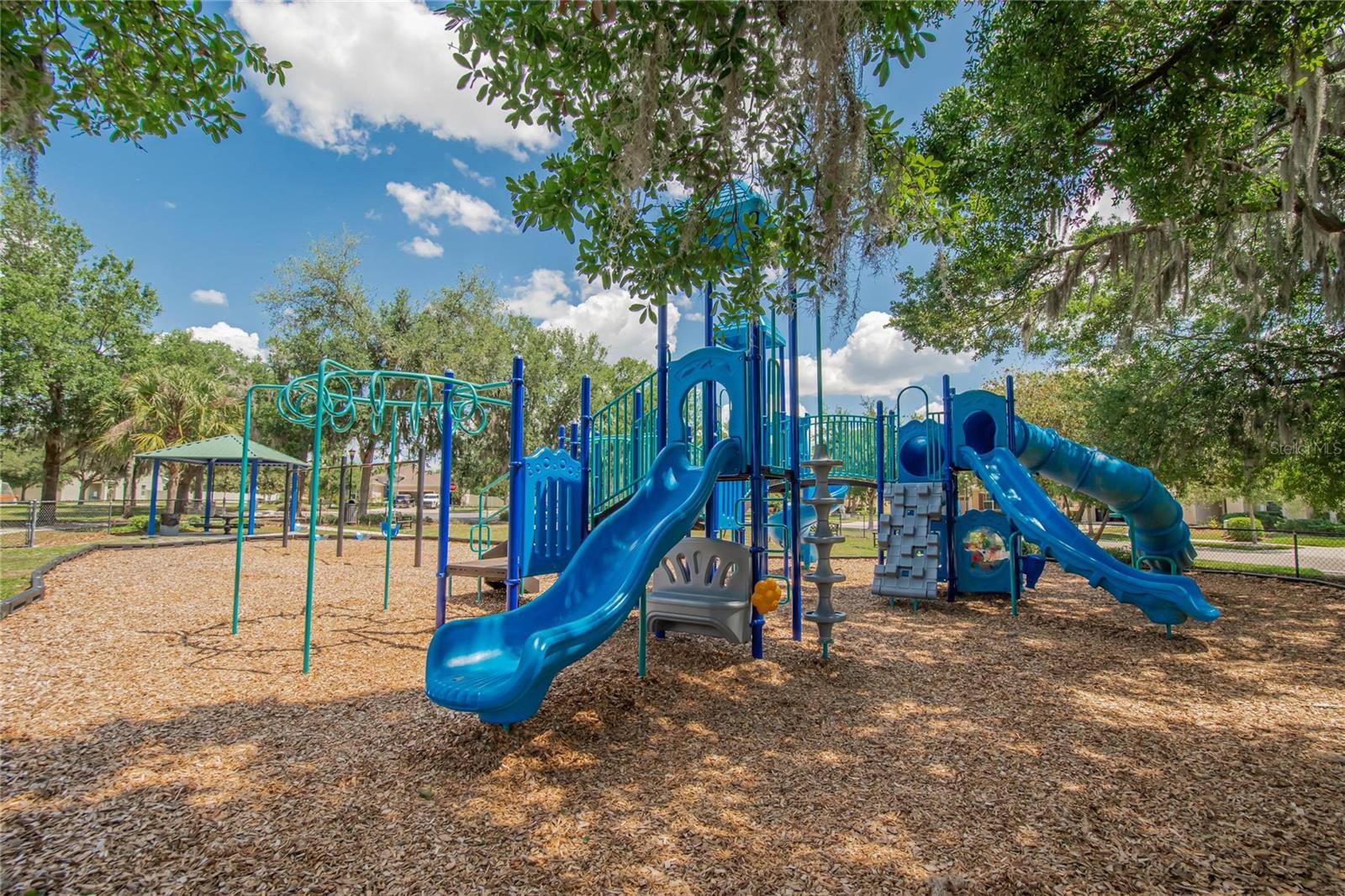 11321 SCRIBNER STATION LN, LITHIA, FL, 33547