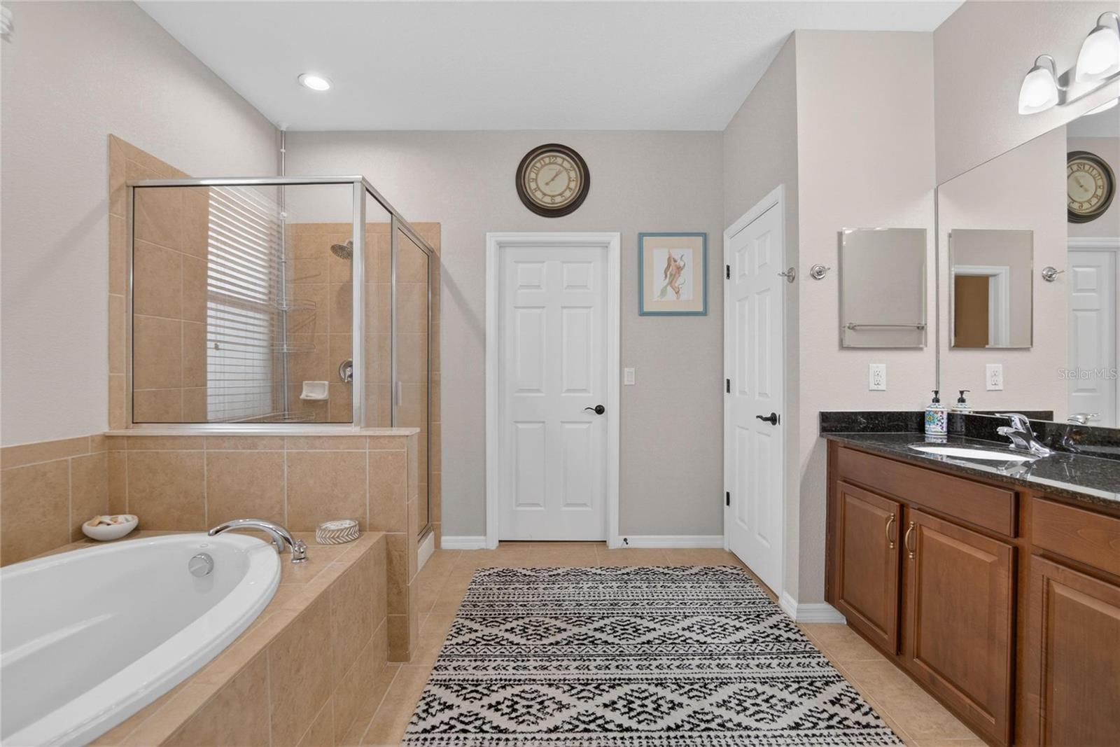 11321 SCRIBNER STATION LN, LITHIA, FL, 33547