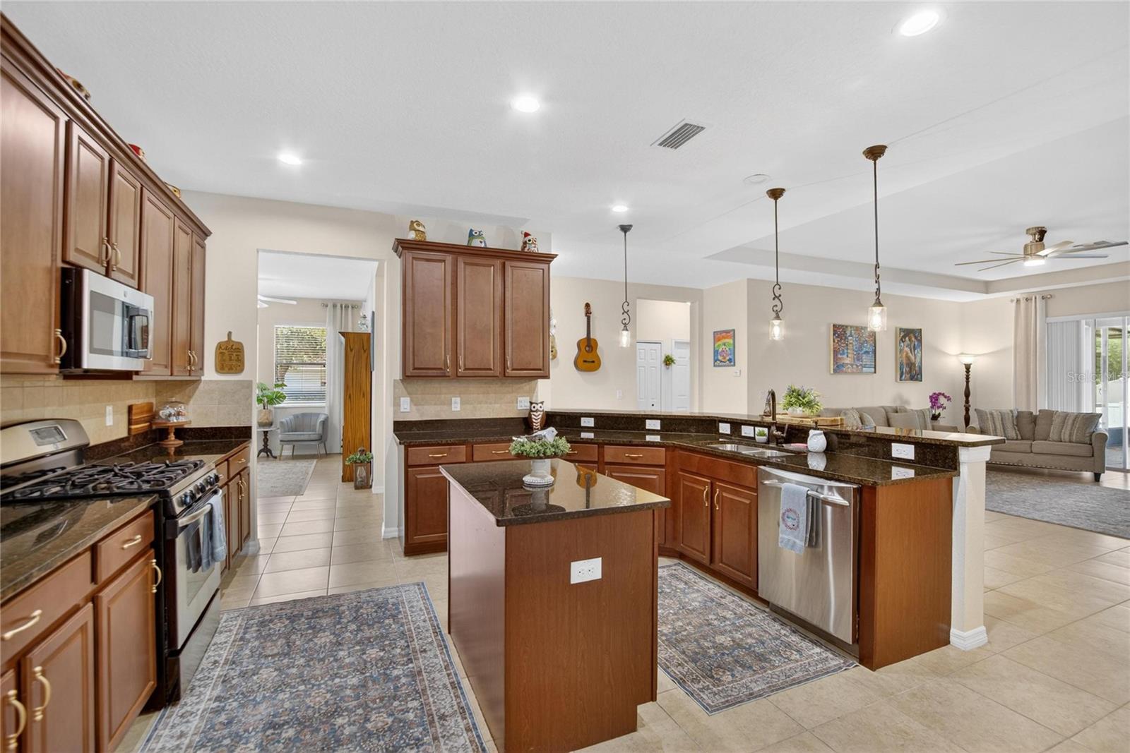 11321 SCRIBNER STATION LN, LITHIA, FL, 33547