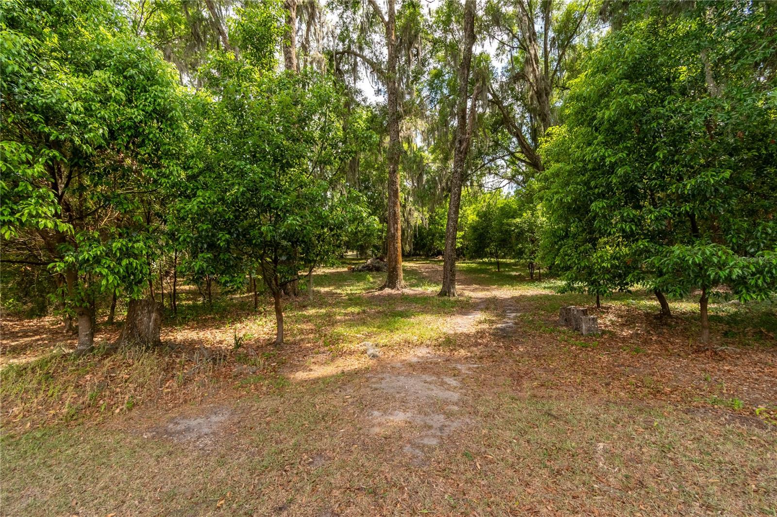 5021 NW 101ST STREET RD, OCALA, FL, 34482