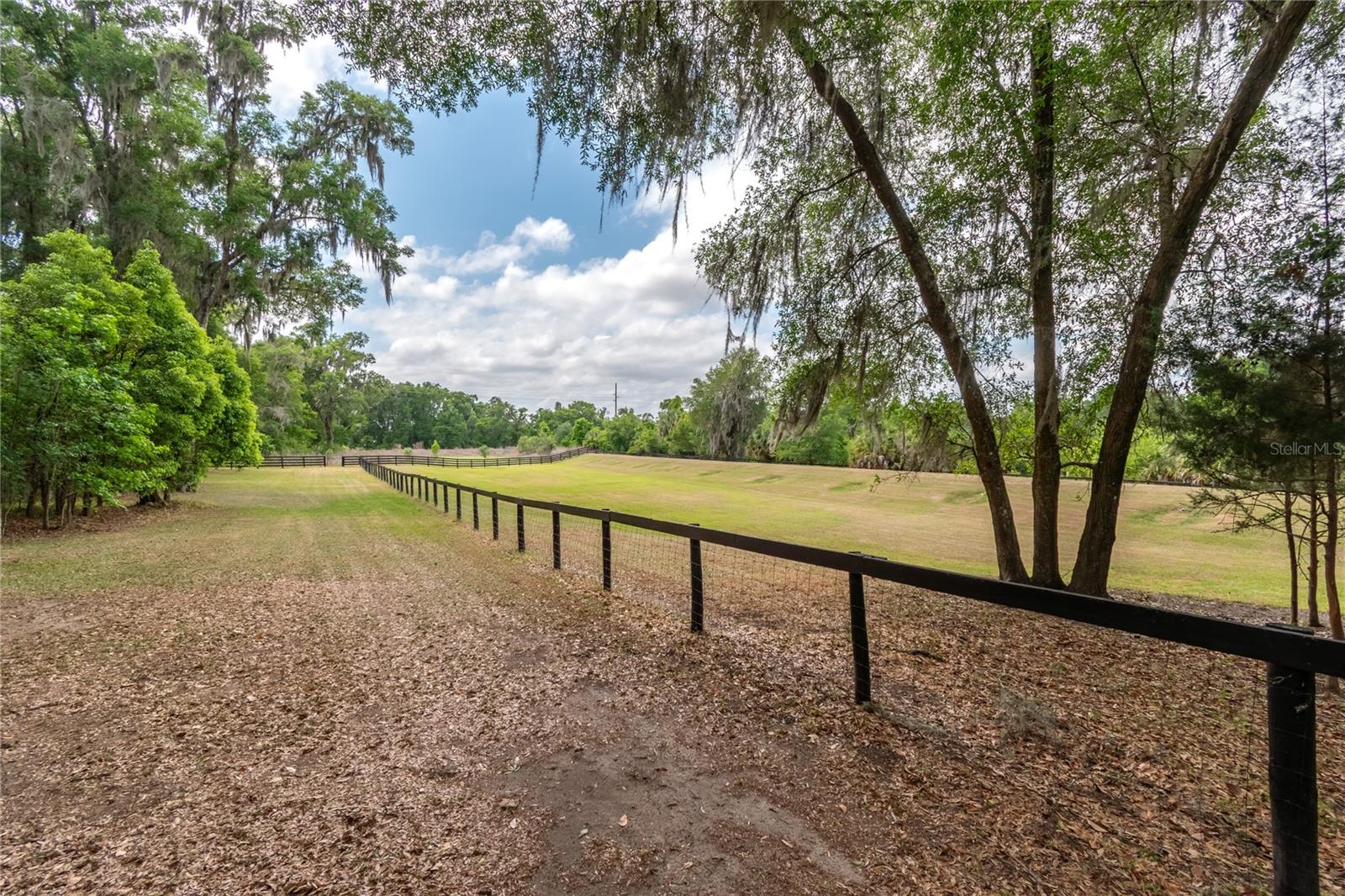 5021 NW 101ST STREET RD, OCALA, FL, 34482